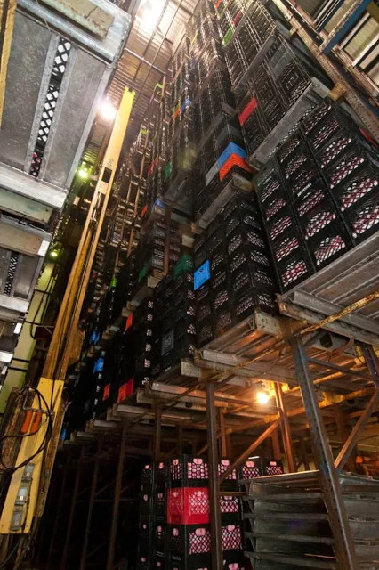 A tall, narrow view looking up at towering racks of stacked plastic crates in a dimly lit warehouse, with a yellow forklift partially visible on the left..jpg