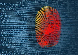 Cyber Attacks and Warriors