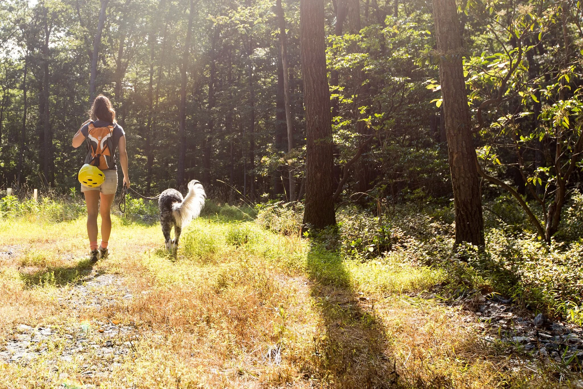 Holiday Shopping in Frederick: for the Outdoorsman