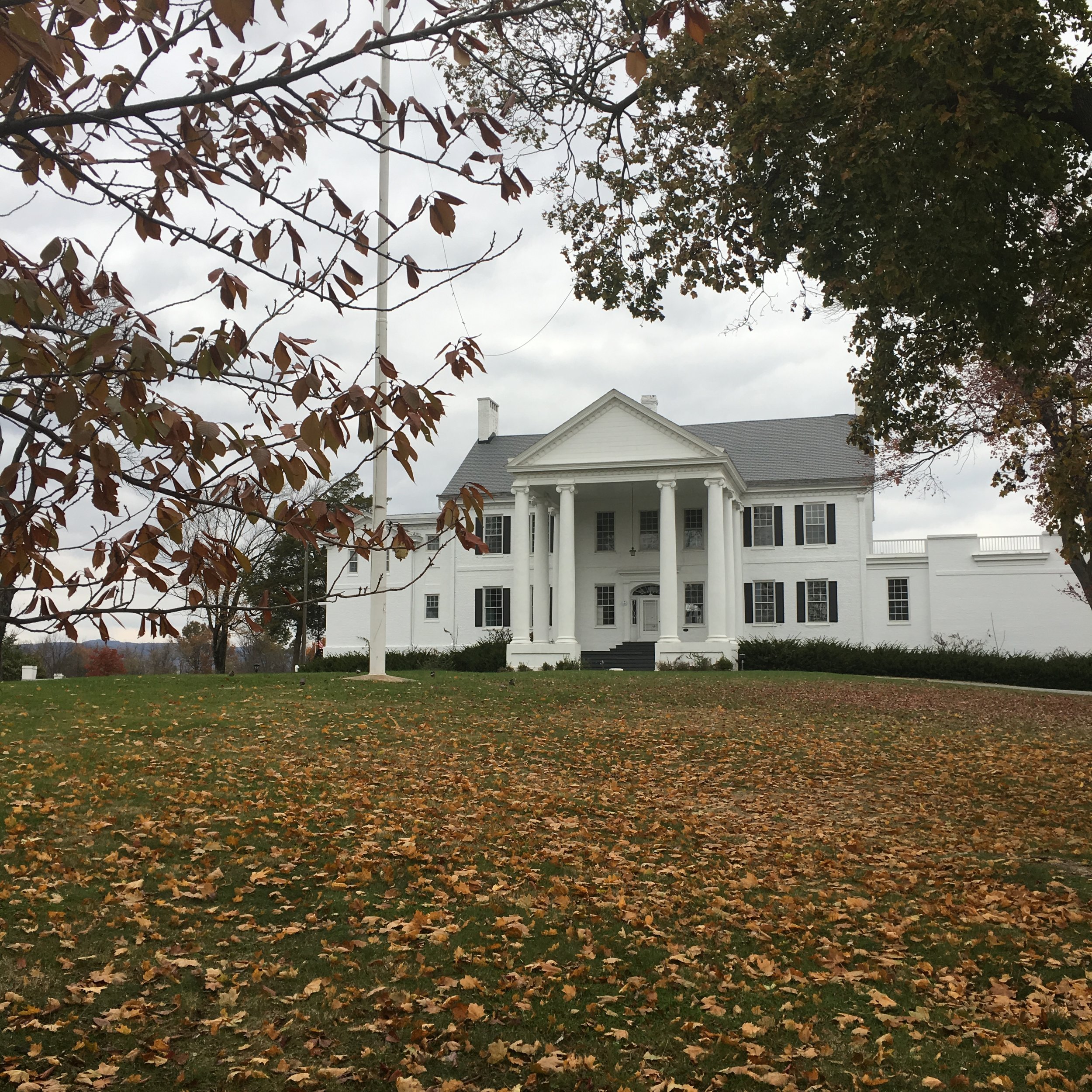 Iconic Opportunities on the Market