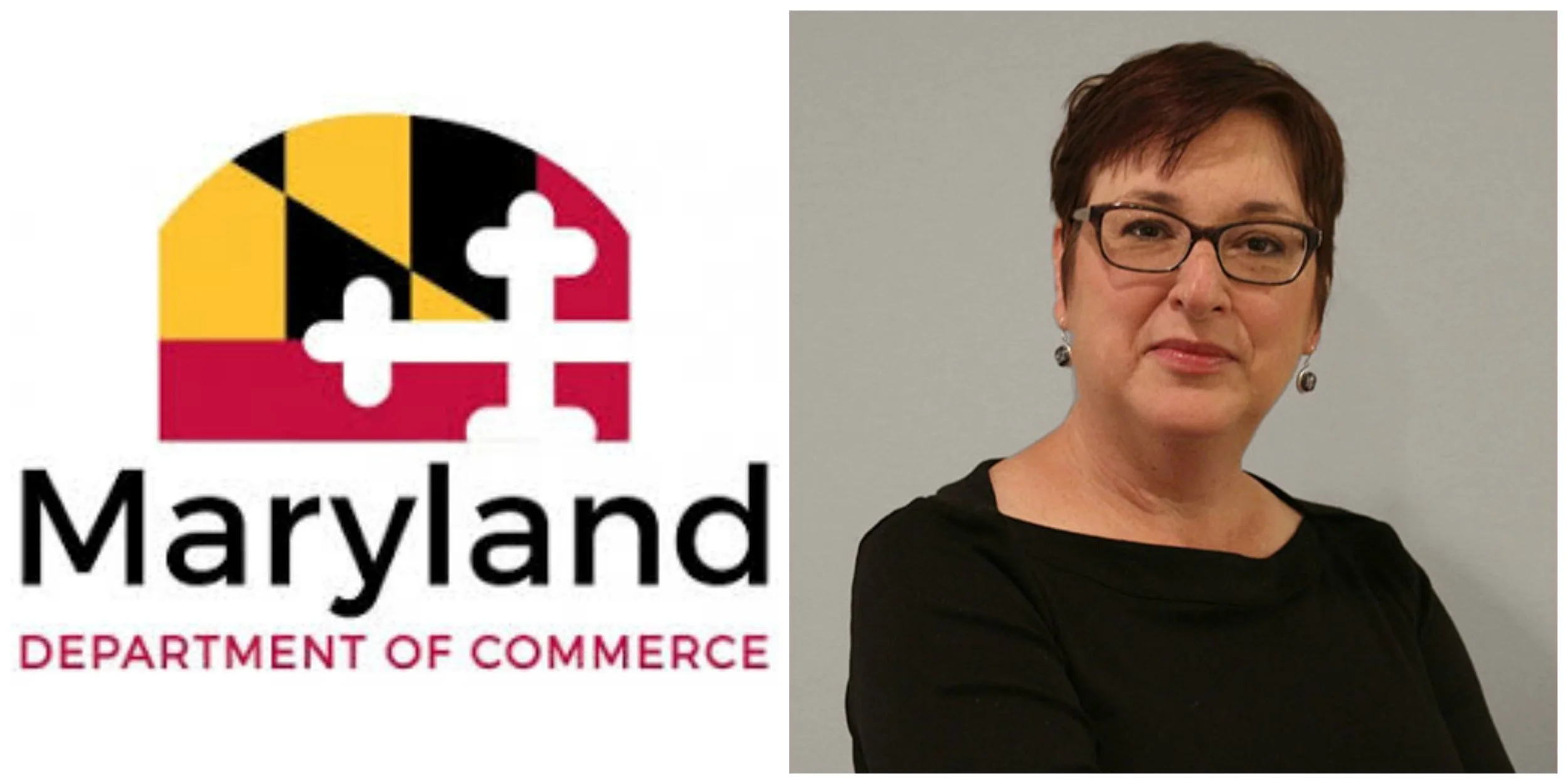 PicMonkey Collage logo and headshot.jpg