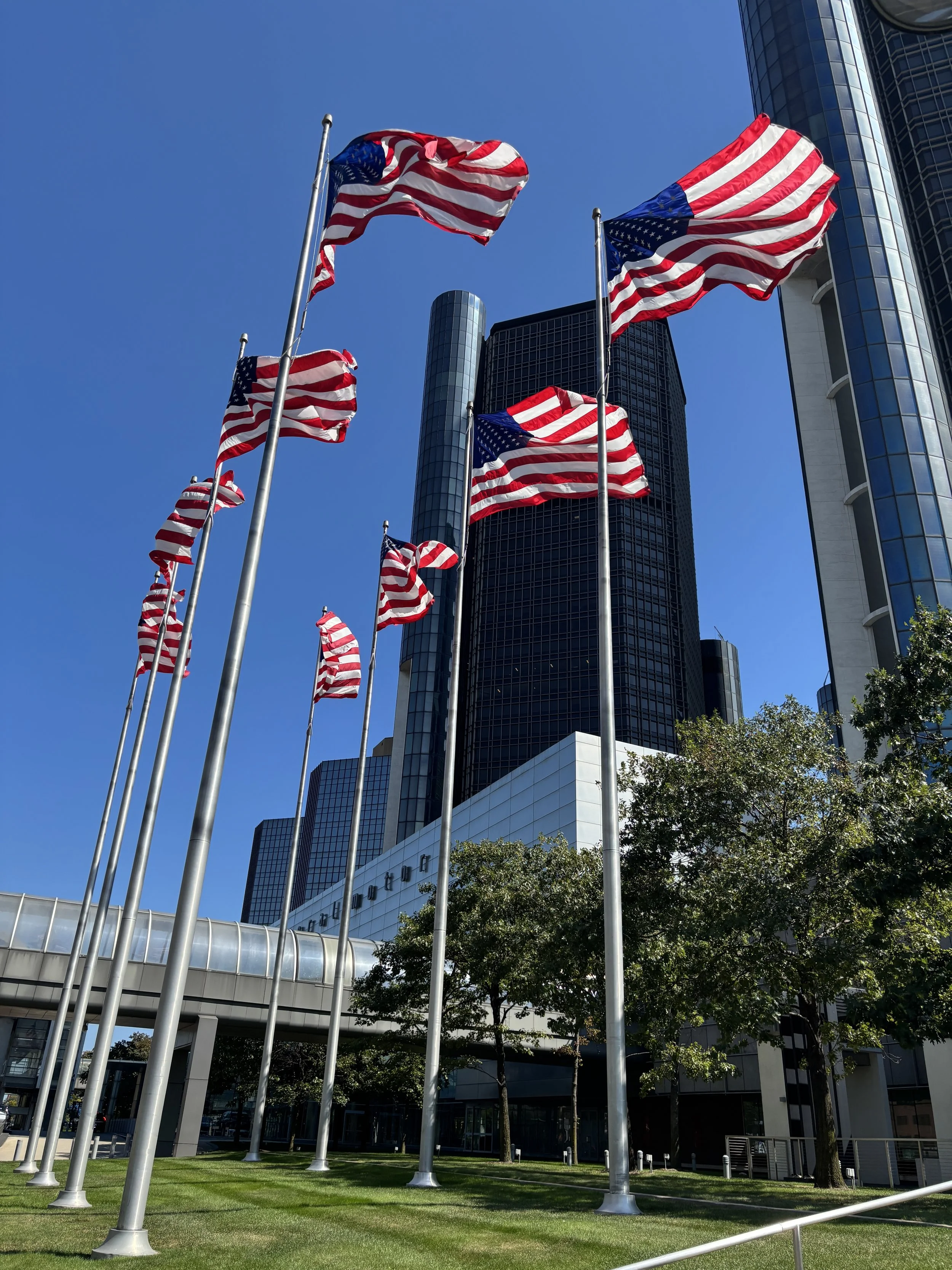 IMG_1355.JPG