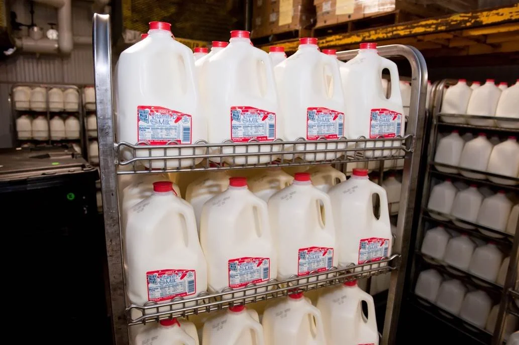 Pic 7 Full milk jugs.jpg