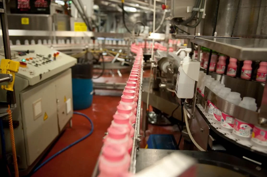 Pic 6 conveyer belt milk.jpg