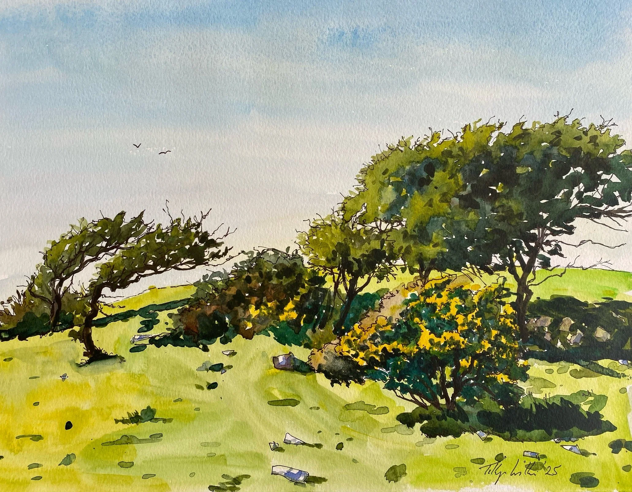 Gower Trees 2