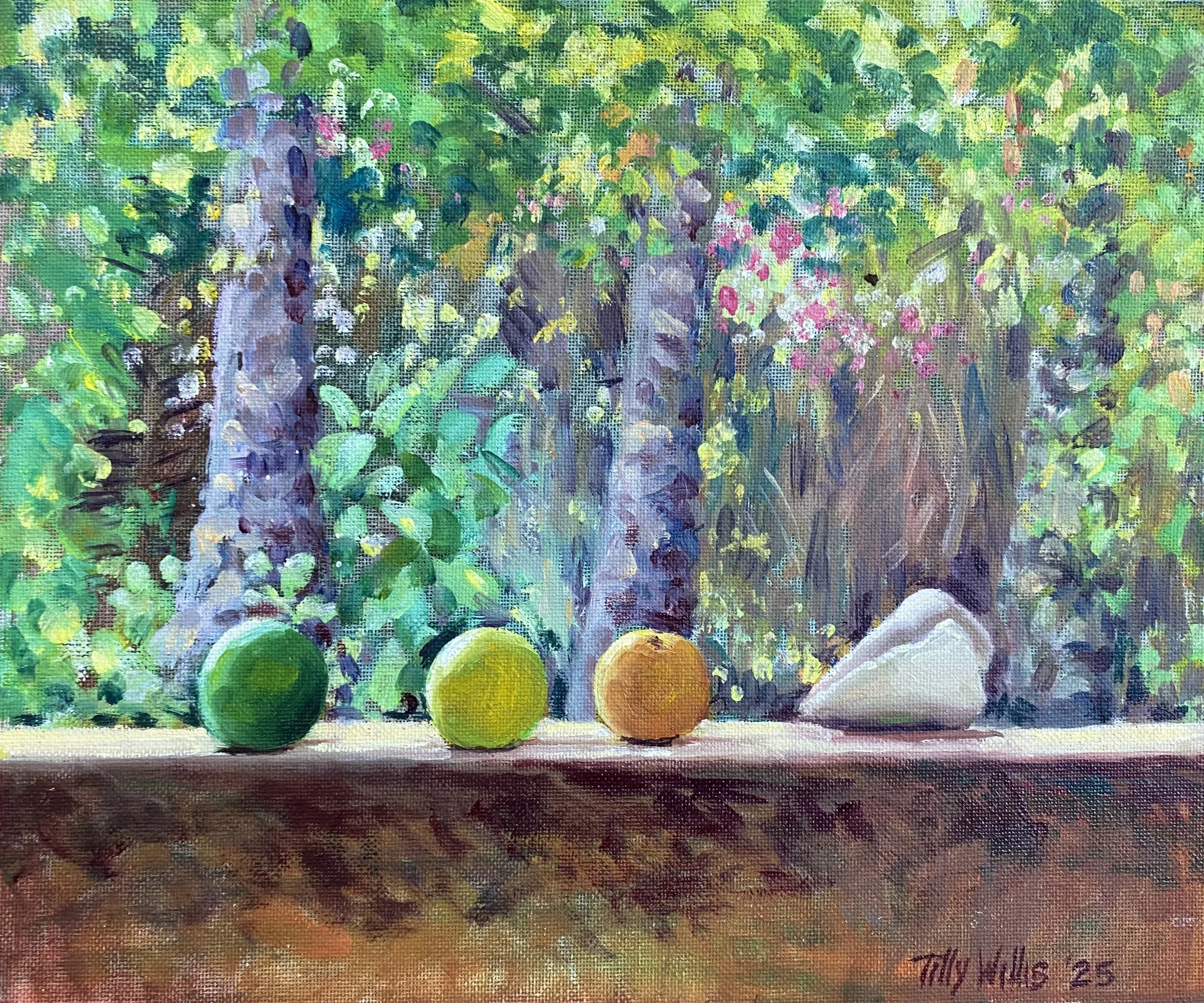 Still Life with Cone Shell  - 32x37cms framed