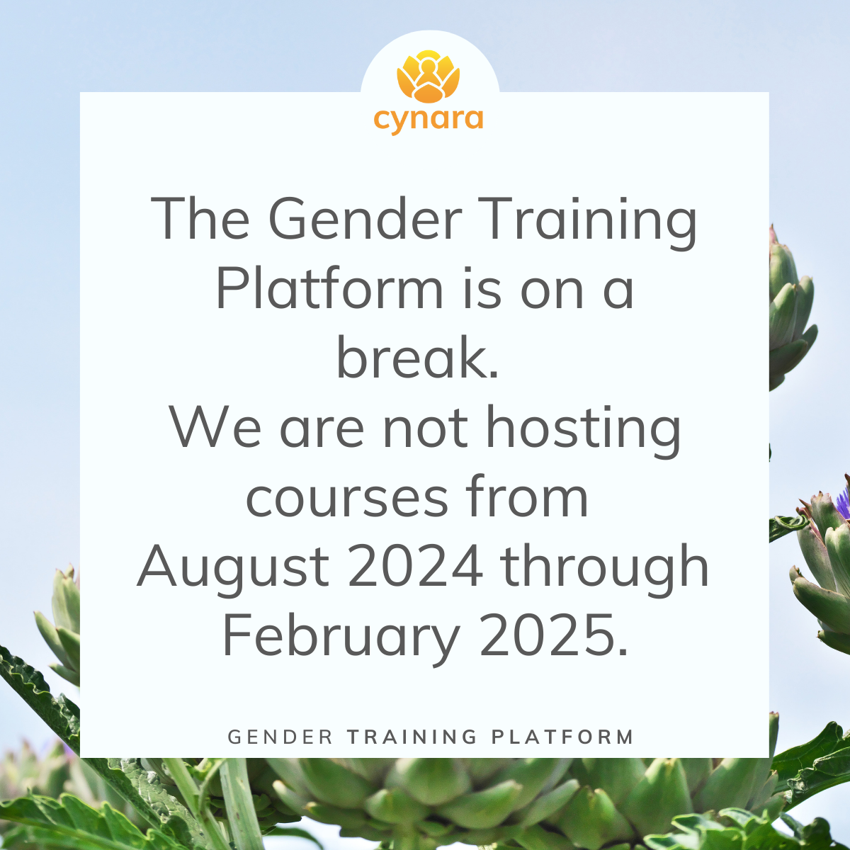 Gender Equality and Social Inclusion GESI Training for NGOs- Cynara ...