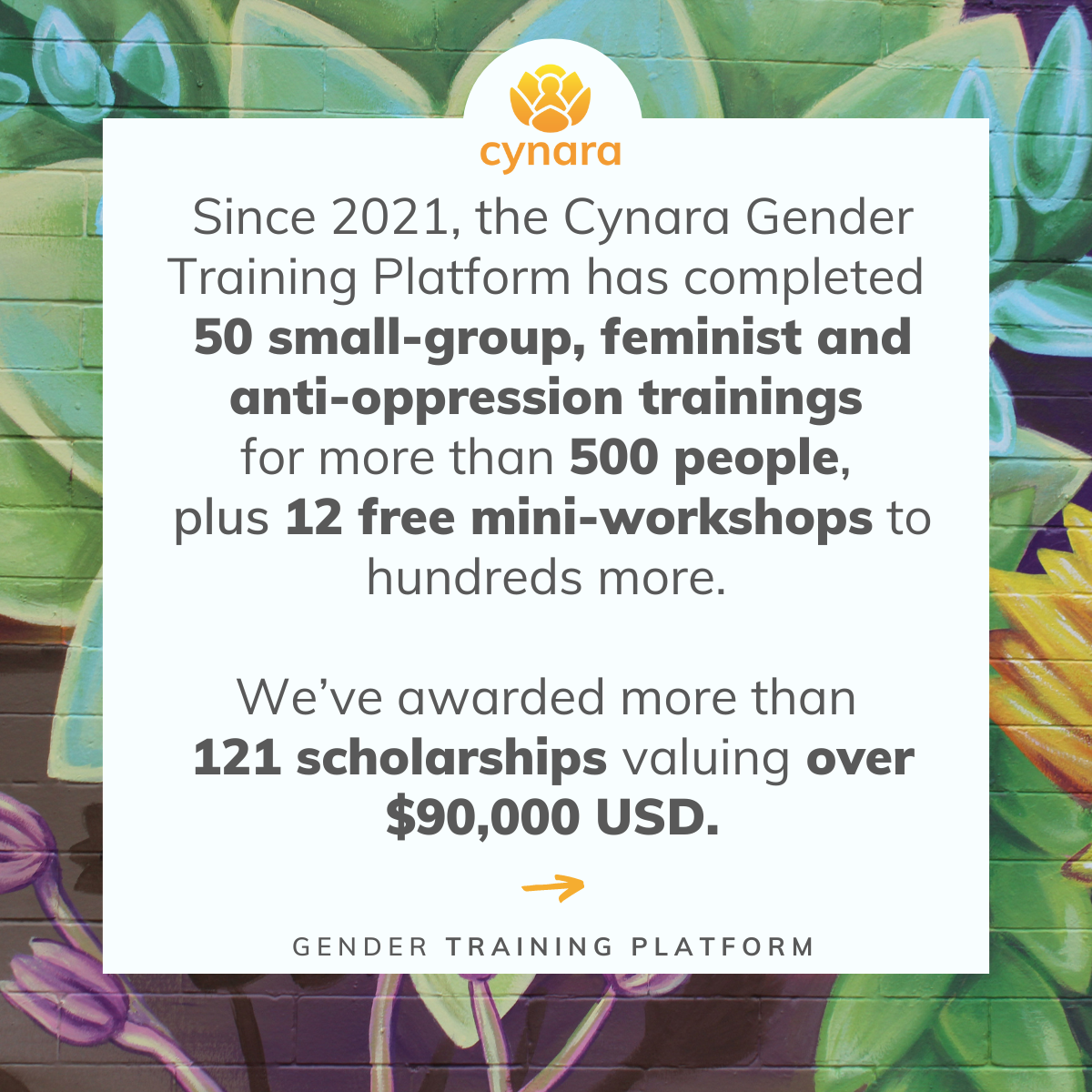 Gender Equality and Social Justice Trainings and Workshops Online — Cynara