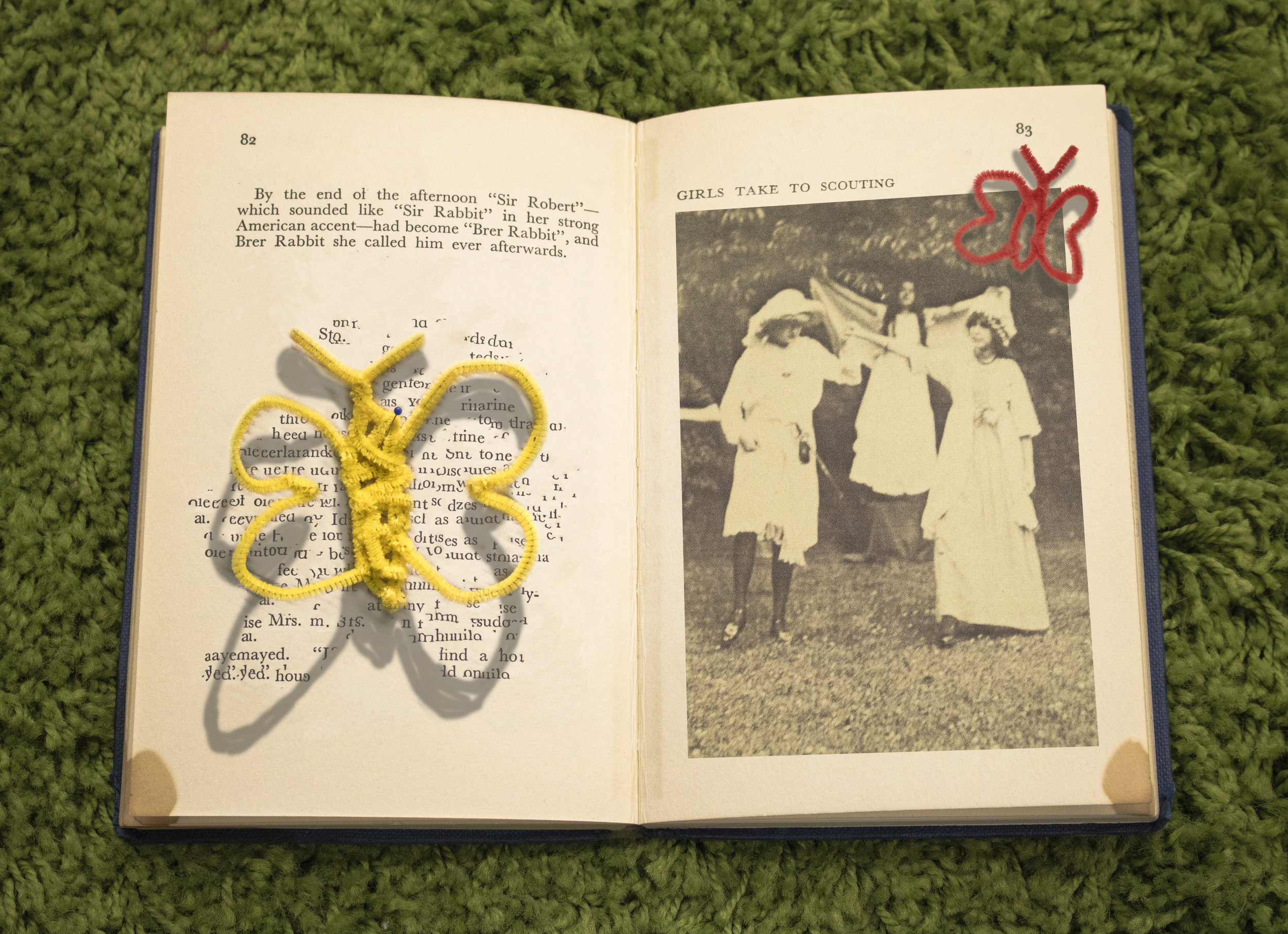 The True Book about Girl Guides
