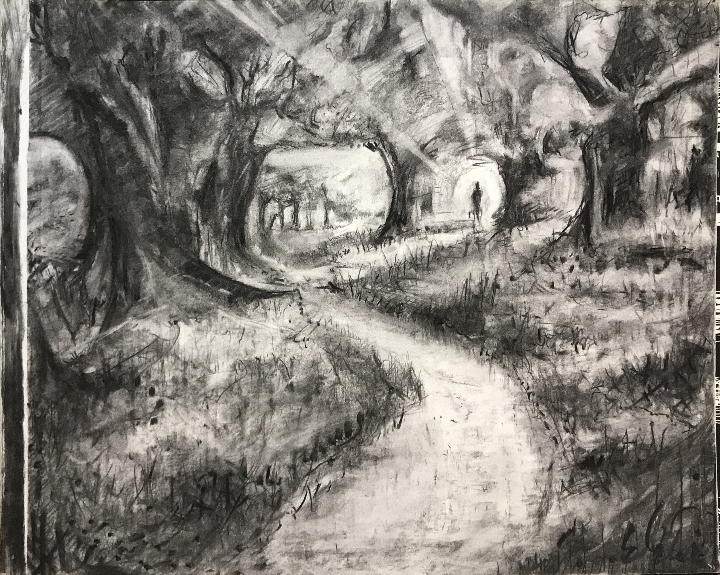 Forest, charcoal on paper, 2014