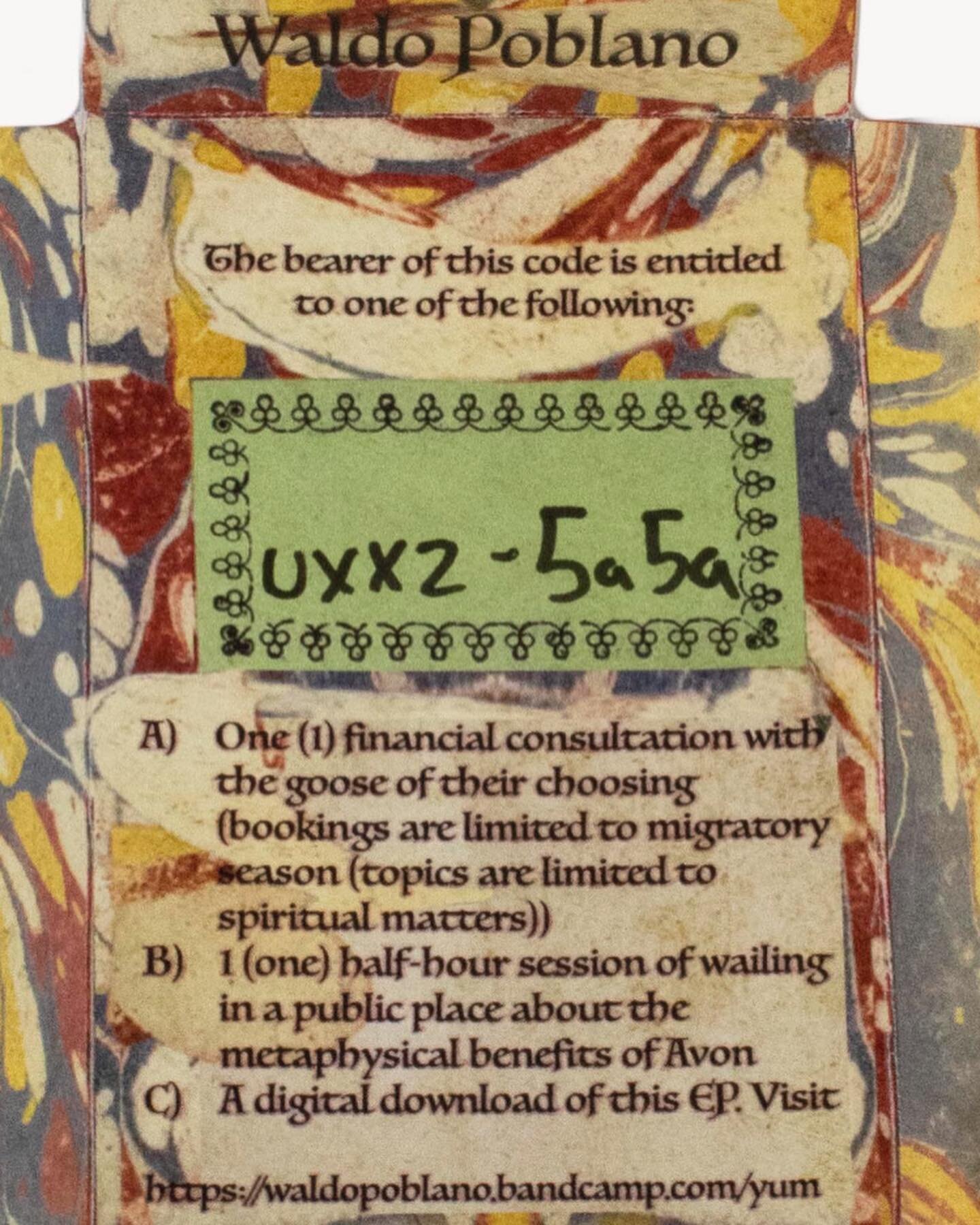 &ldquo;One financial consultation with a goose of your choosing&rdquo;🦢 TBT the cassette cover I designed for @waldopoblano back in 2020.  The funny writing is all Waldo&rsquo;s doing of course. The cover is based off of a moth filled kijiji trunk I