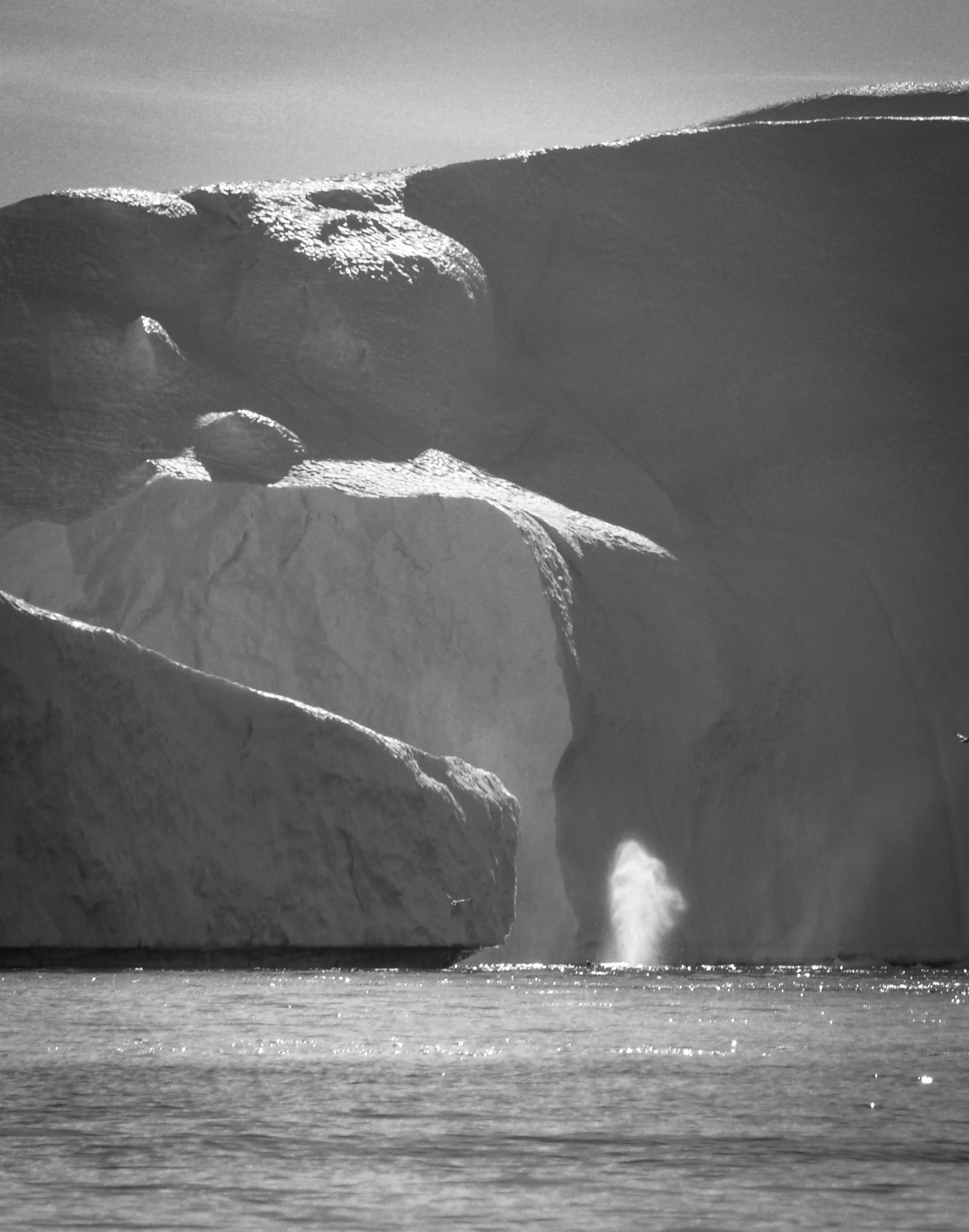 Humpback whale spout - Ilulissat Icefjord