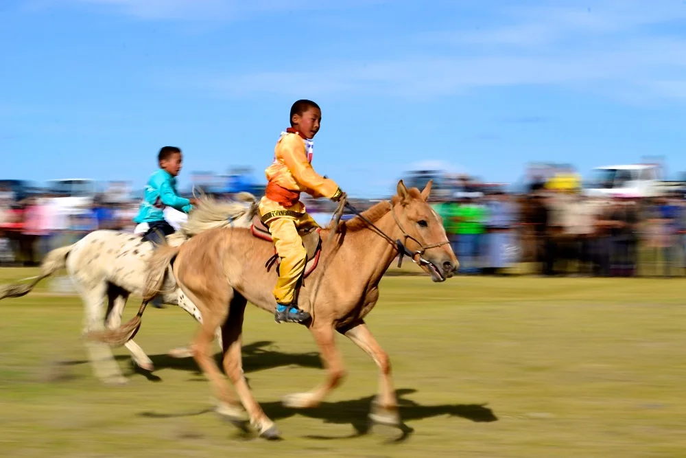 Naadam horse racing - Karakorum