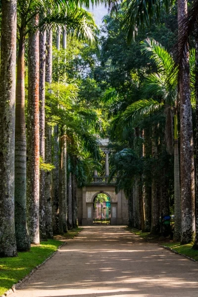 Rio de Janeiro Botanical Garden