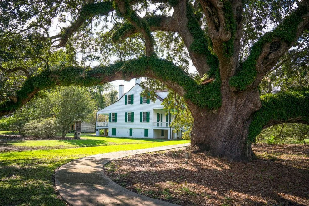 Here's why you need to visit Louisiana's Cajun Bayou