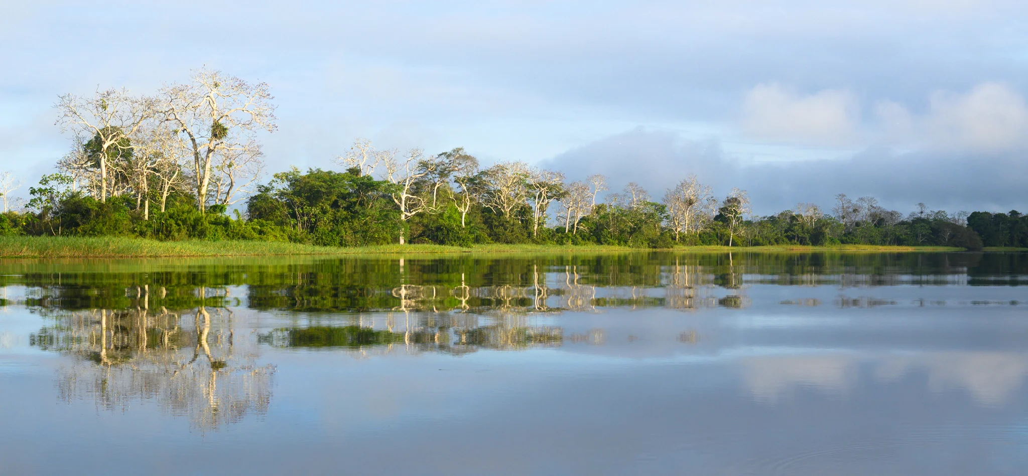 River Reflection - Pacaya-Samiria National Reserve