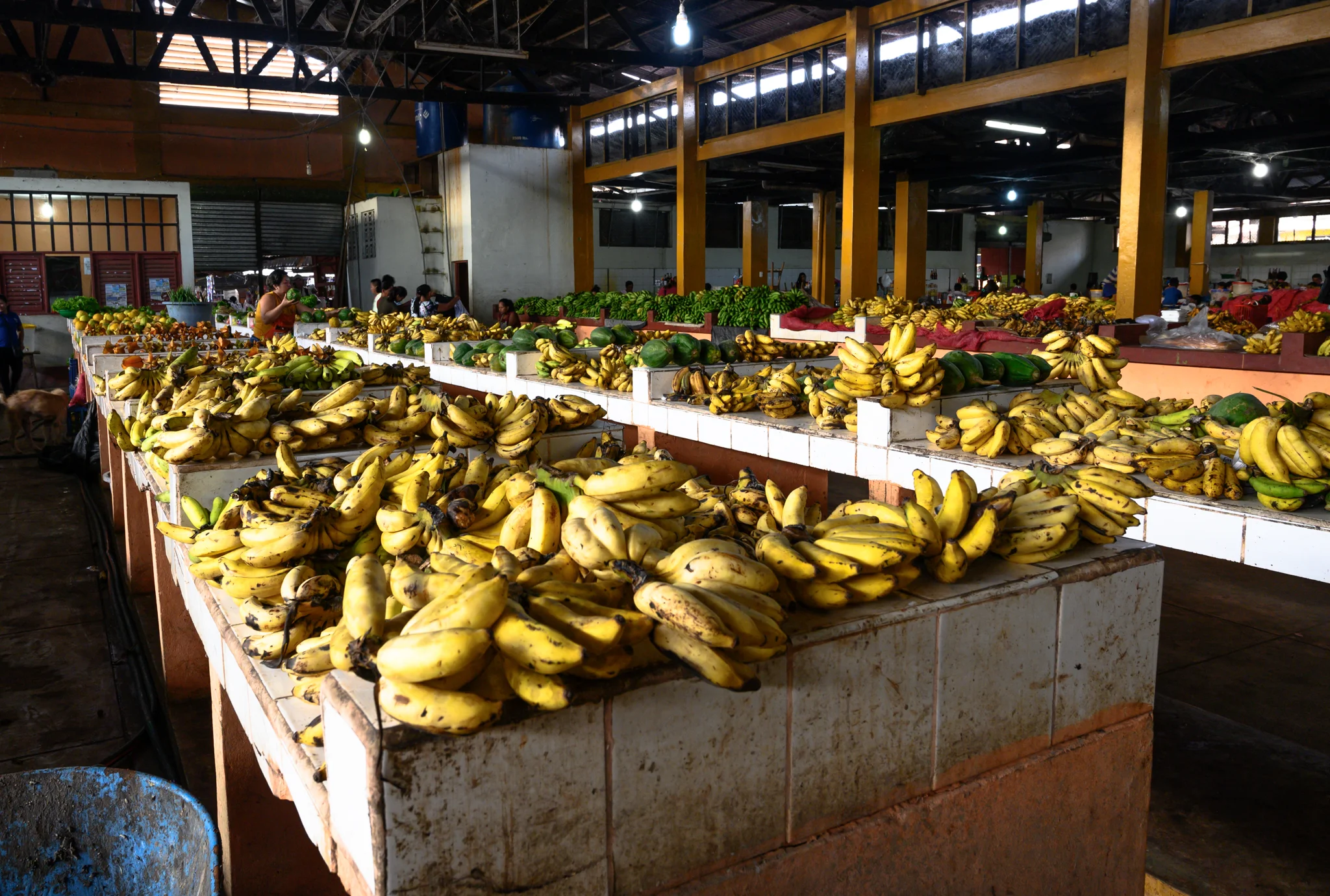 Produce market - Nauta
