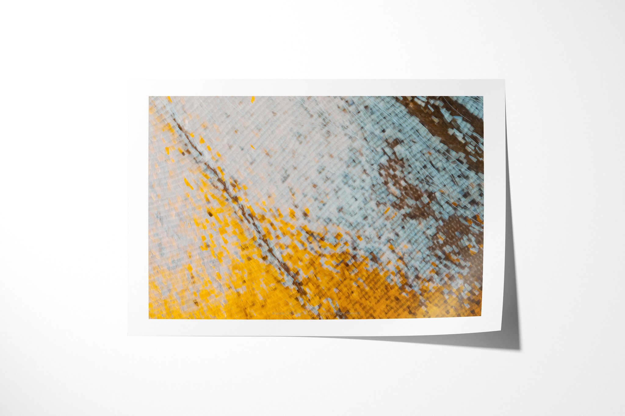 Fine art paper print of Cymothoe beckeri - Cymothoe Tribe IV, showing pale blue-grey and cream wing scales crossed by dispersed yellow and brown flecks.