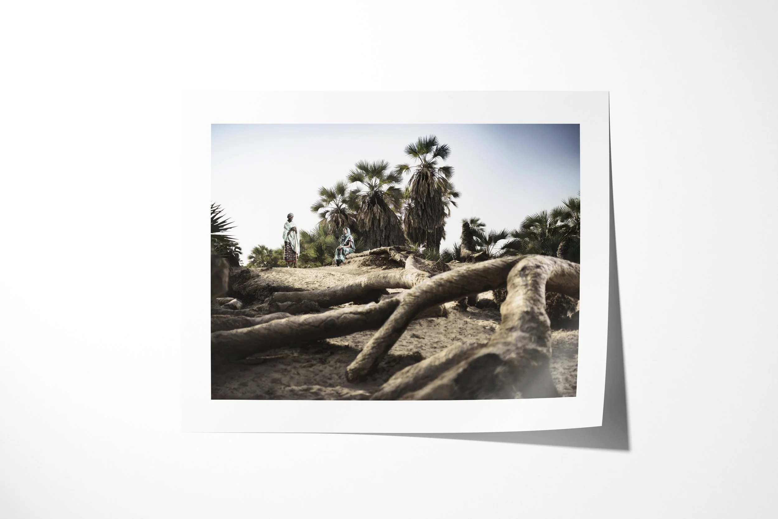 Fine art paper print of Talaso & Halkano, showing Talaso and Halkano among fallen palm trunks in a desert oasis.