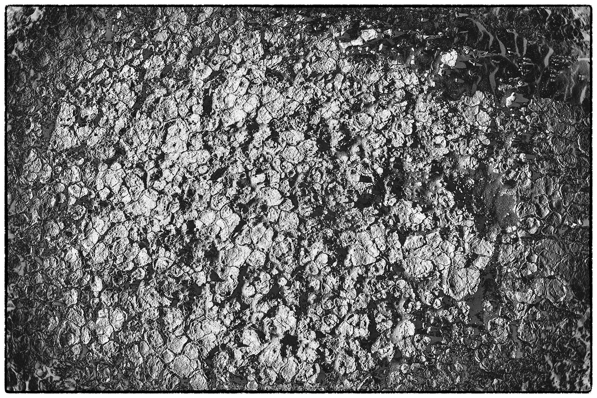 Dense field of cracked ground fragments separated by dark irregular fissures.