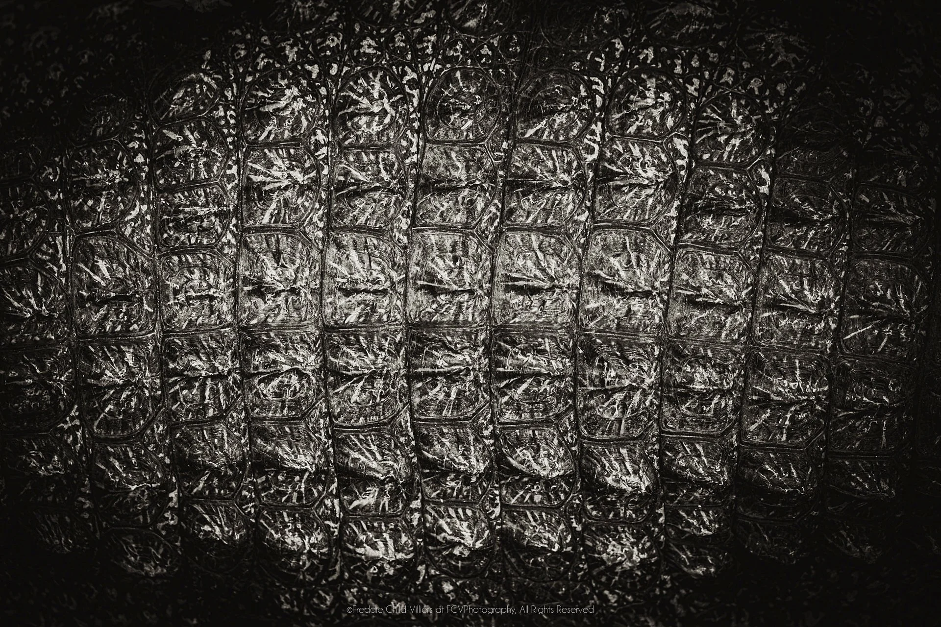 Extreme close view of overlapping crocodile scutes forming an irregular ridged pattern.