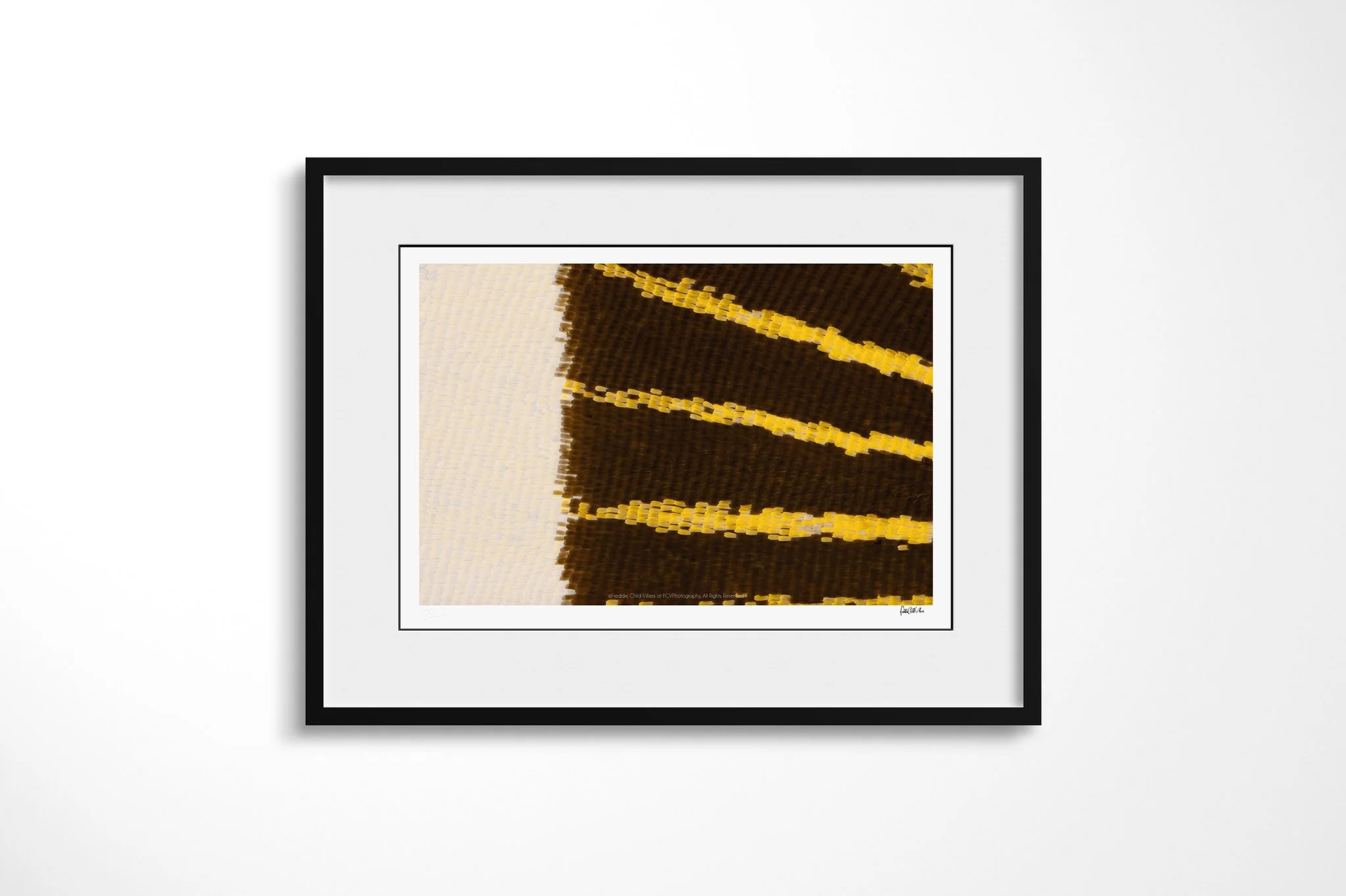 Black-framed presentation of Papilio lormier - Papilionini Tribe II with a white mount, showing a cream field beside dark brown wing scales crossed by three narrow yellow bands.