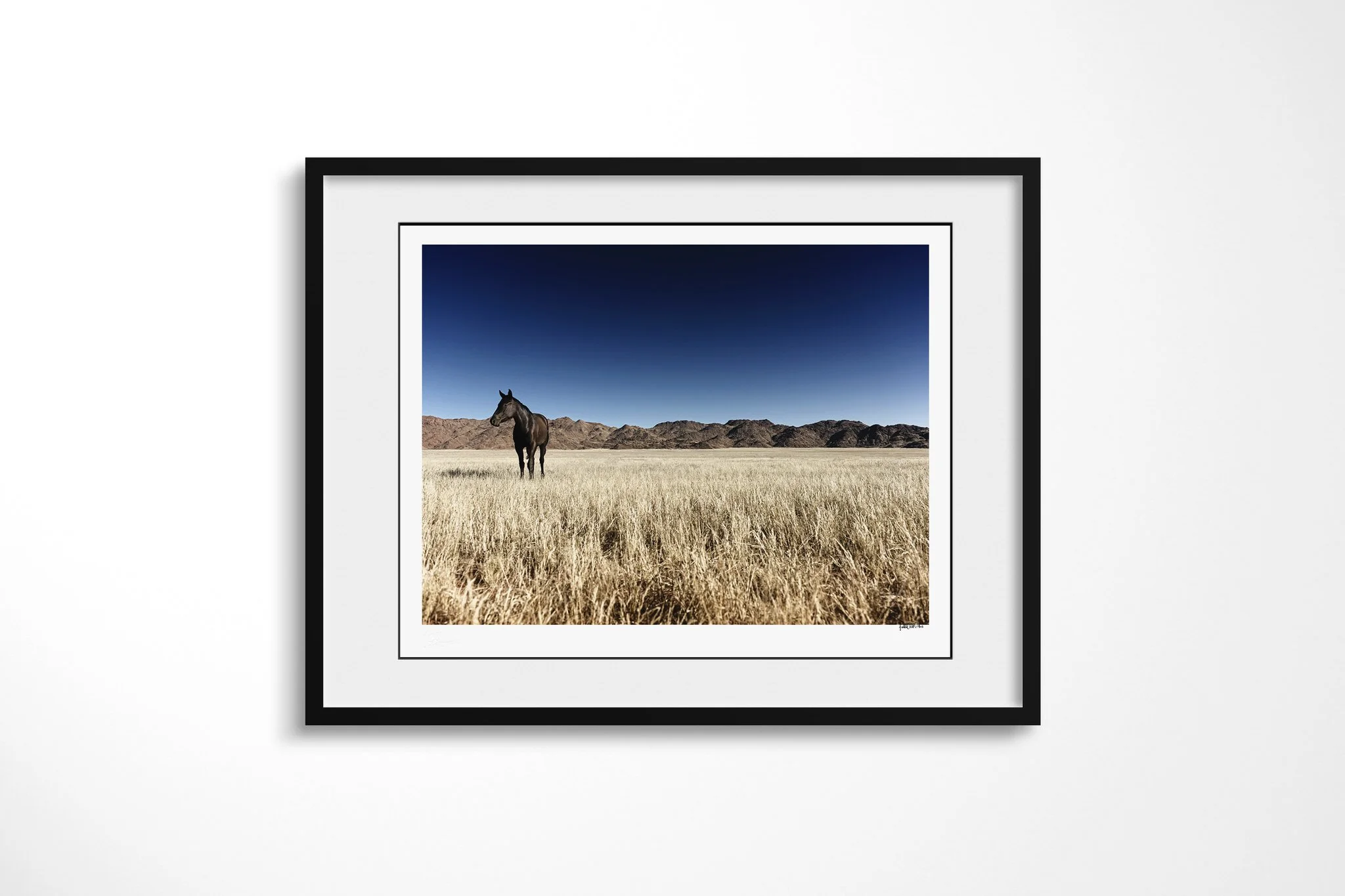 Framed fine art presentation of Wild Horse in a black frame with a white mount, depicting a lone dark horse standing in pale dry grass before rugged arid mountains beneath a deep blue sky.