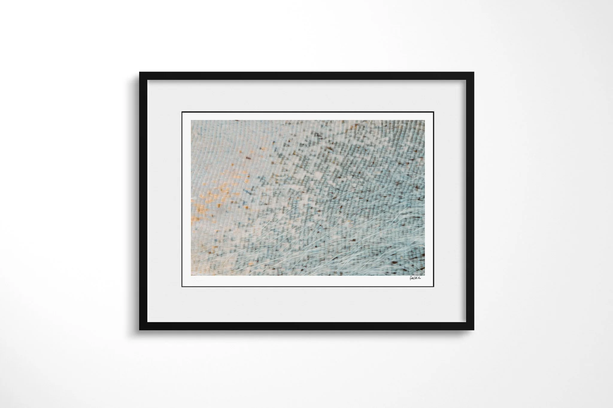 Black-framed presentation of Cymothoe beckeri - Cymothoe Tribe VII with a white mount, showing pale blue and cool grey wing scales with faint diagonal lines and fine hair-like fibres.