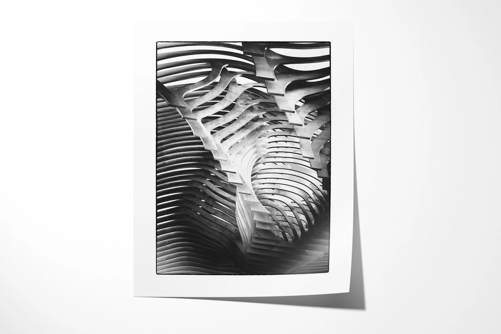 Unframed fine art paper print of Skeleton, featuring repeating curved ribs and slatted bands forming a symmetrical high-contrast structure.