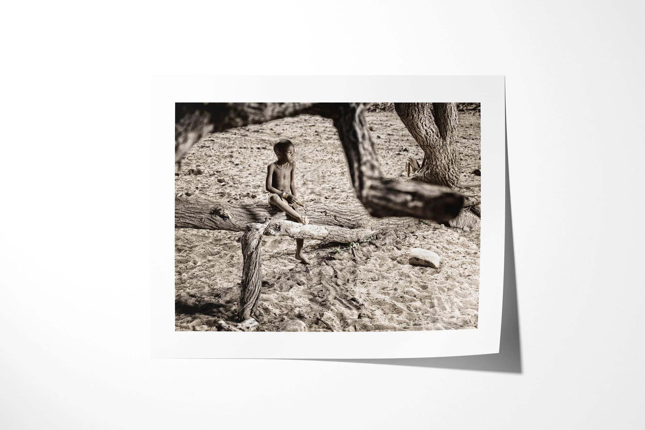 Fine art paper print of Katumunu, showing Katumunu seated on a low tree branch above sandy ground in sparse shade.