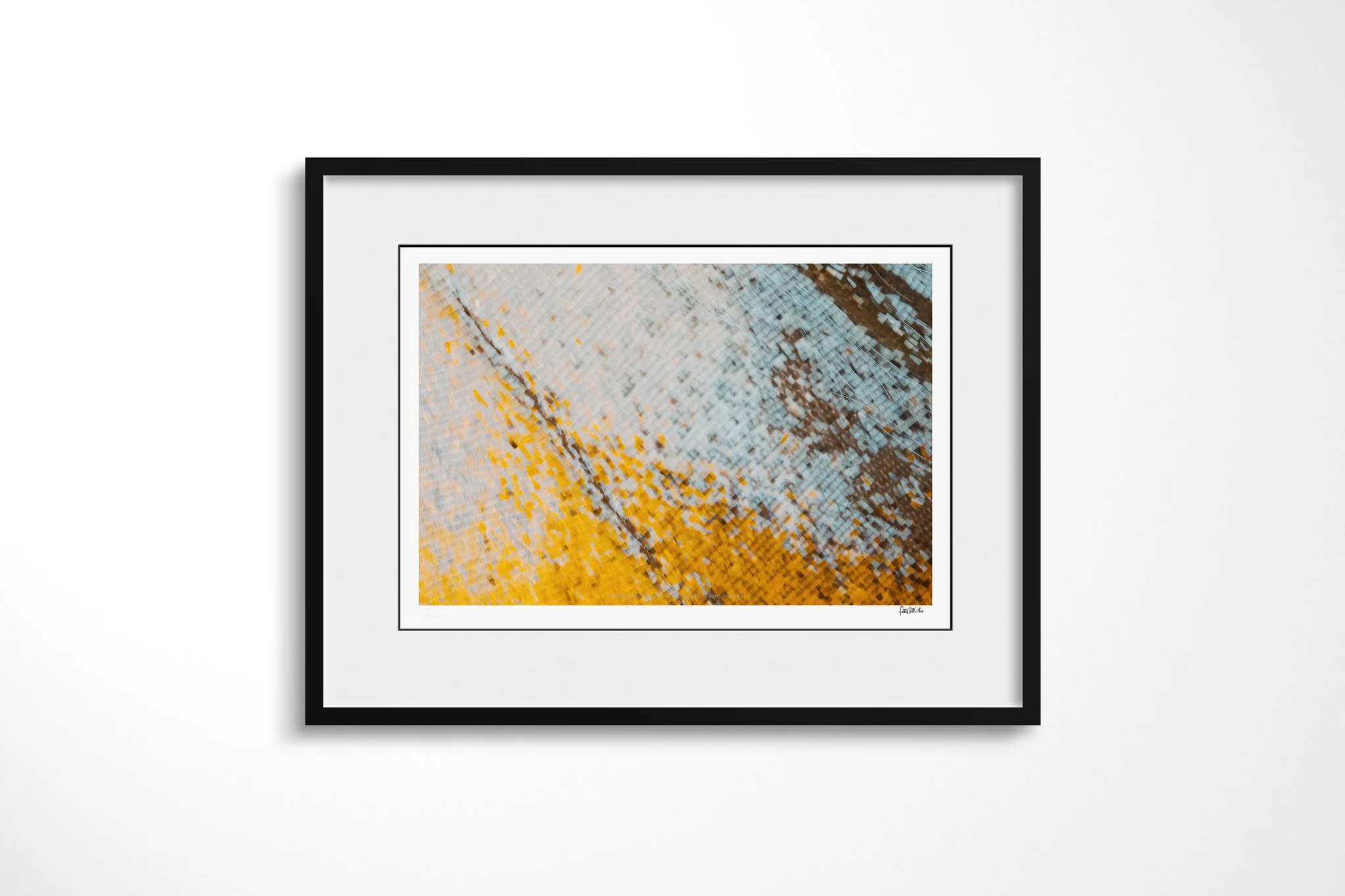 Black-framed presentation of Cymothoe beckeri - Cymothoe Tribe IV with a white mount, showing pale blue-grey and cream wing scales crossed by dispersed yellow and brown flecks.