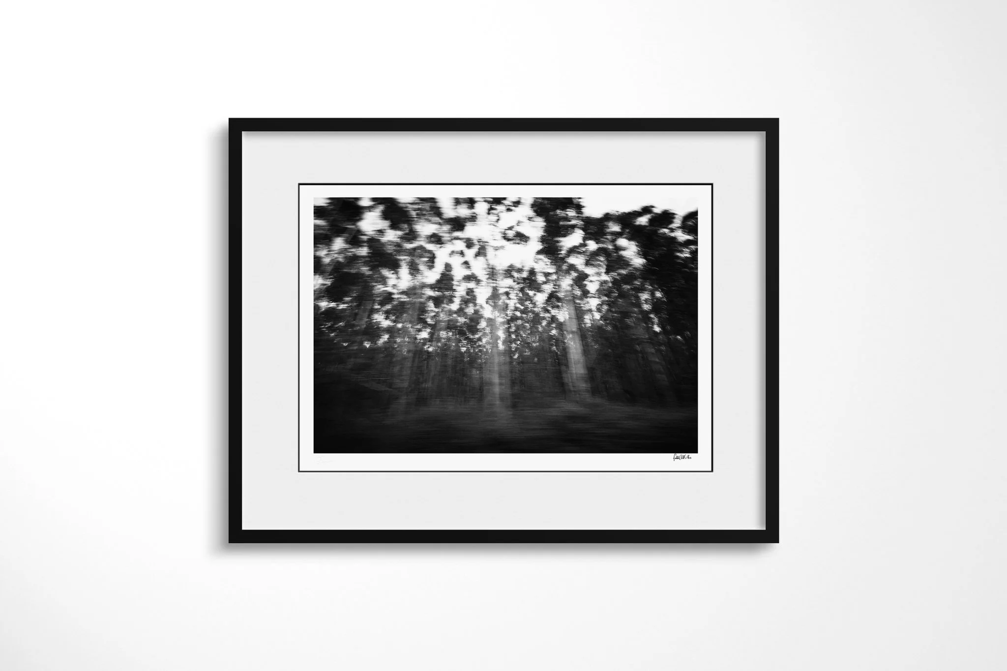 Framed fine art presentation of Sappi in a black frame with a white mount, depicting tall forest trees rendered as dense black-and-white streaks by strong lateral motion blur.
