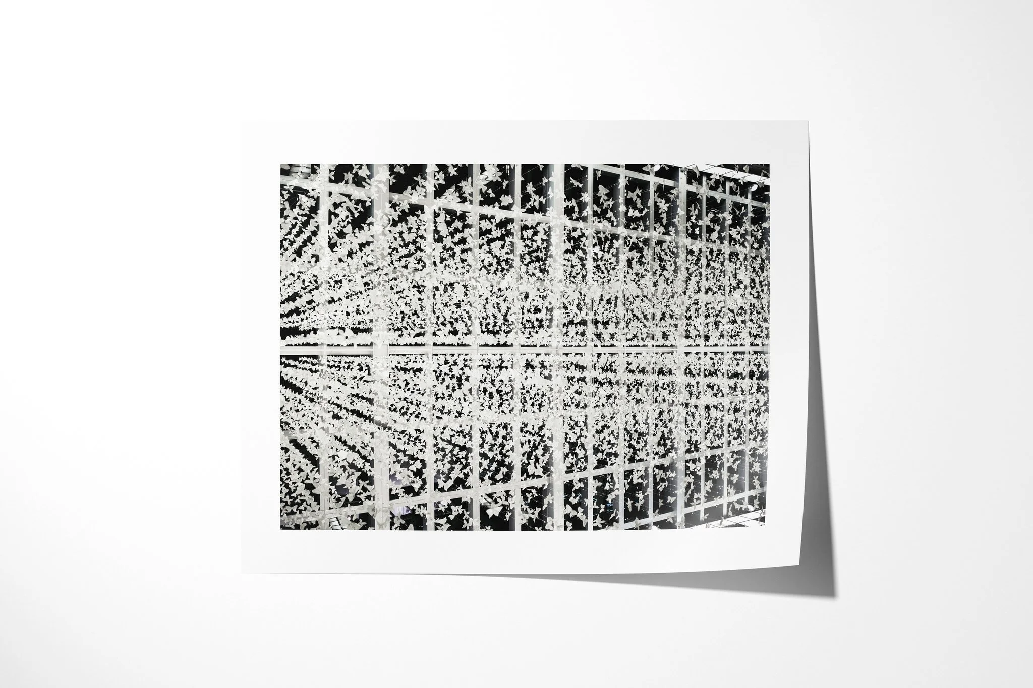Unframed fine art paper print of Butterflies, showing hundreds of pale butterfly-shaped elements suspended on wires across a dark architectural grid.