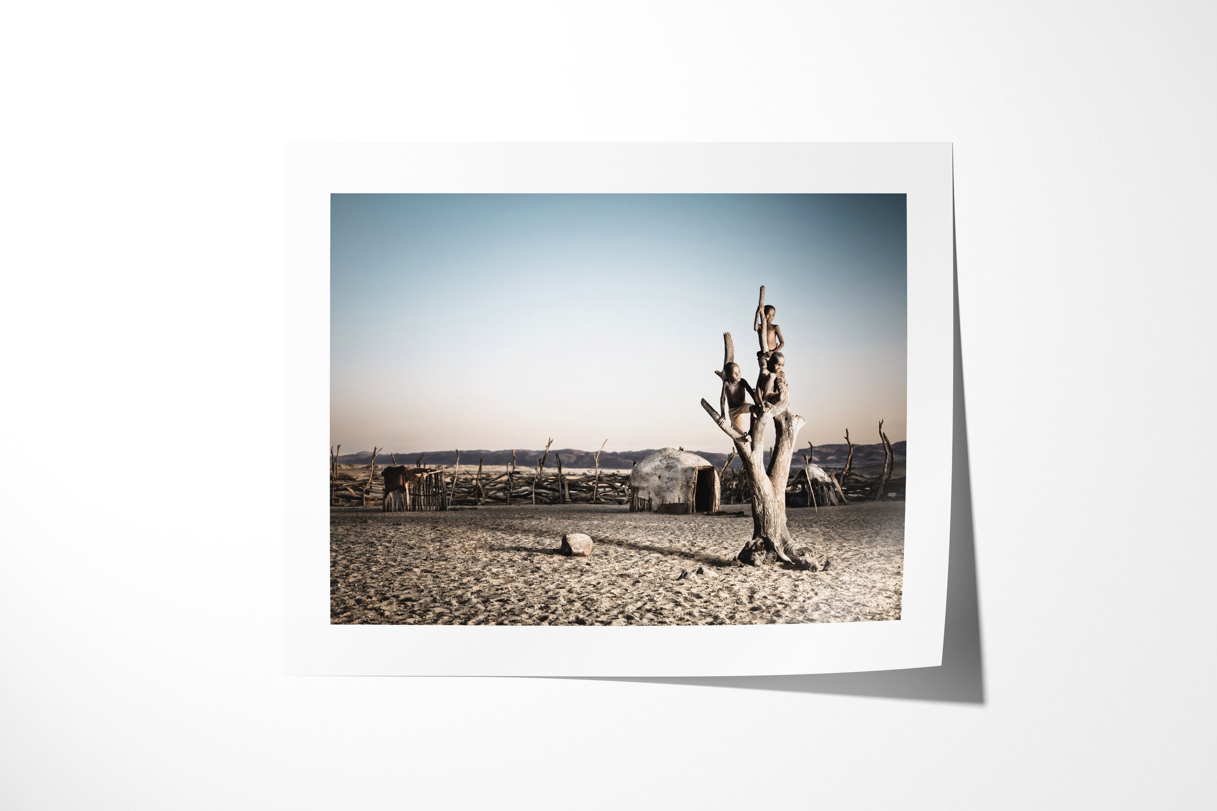 Fine art paper print of The Tree, showing three Himba boys climbing and sitting in the bare branches of a tree inside a homestead.