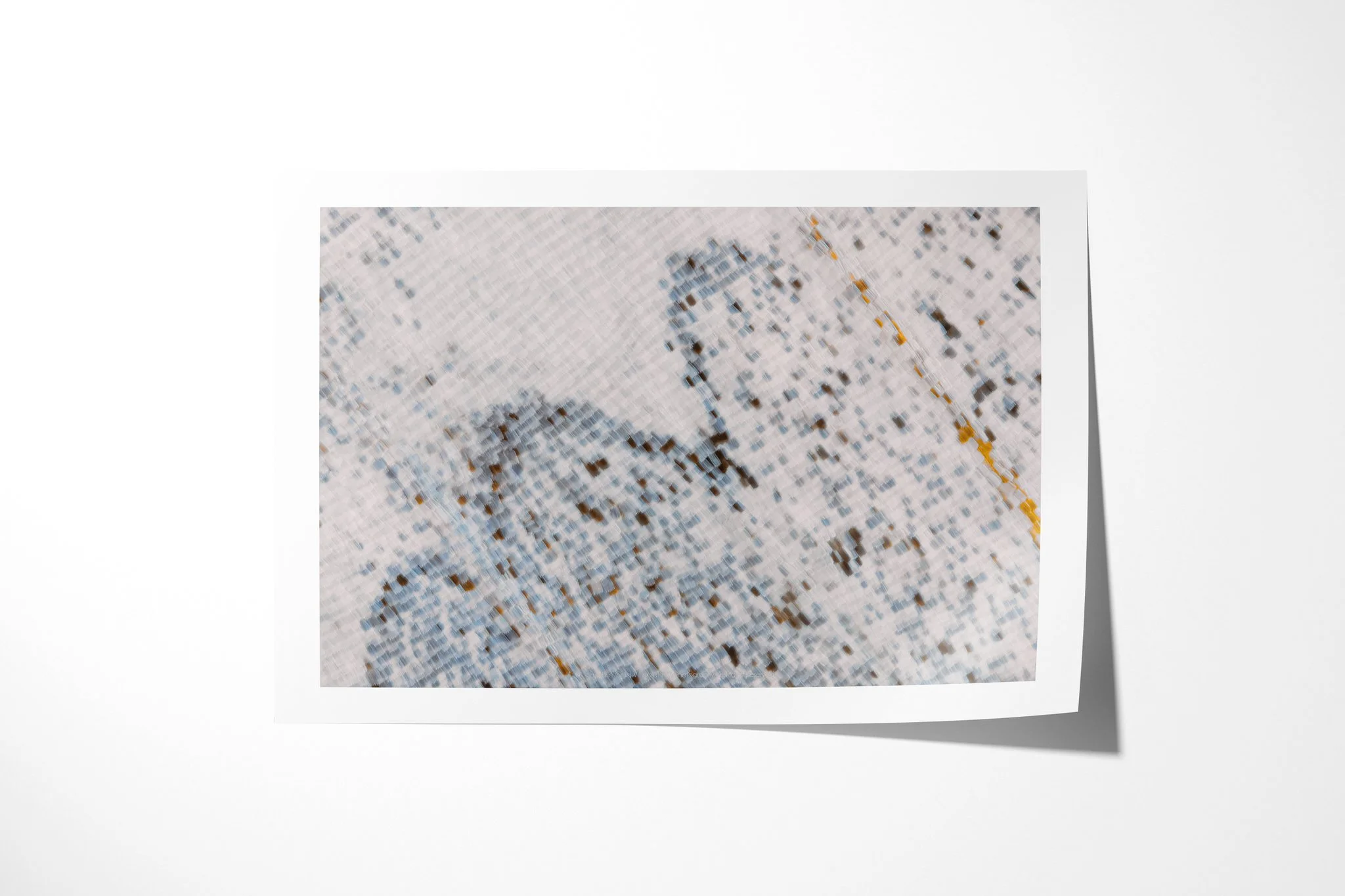 Fine art paper print of Salamis anacardii duprei - Junoniini Tribe III, showing pale silver-blue wing scales with incomplete dark arcs and a fine diagonal ochre vein.