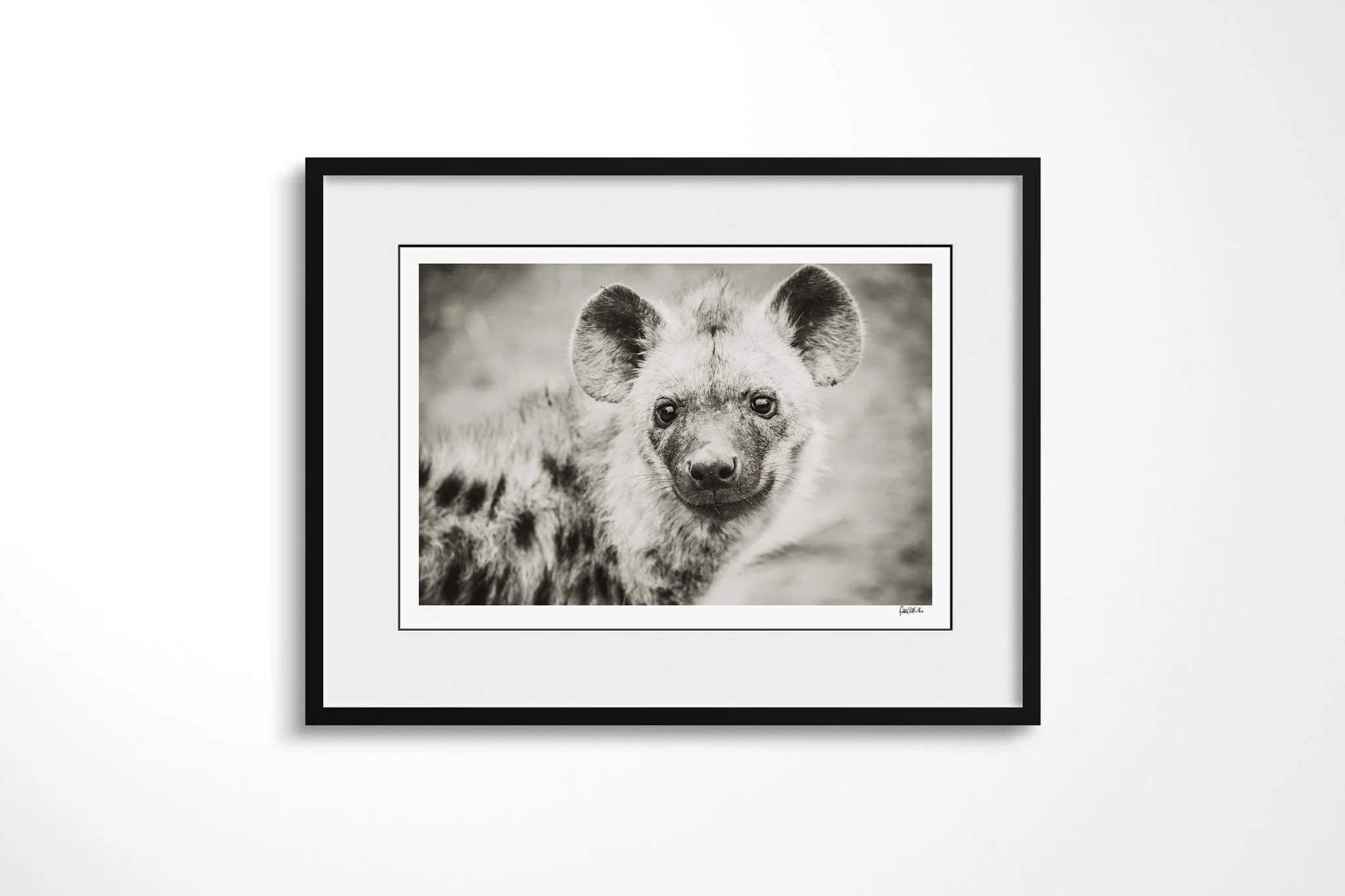 Framed presentation of Hyena I with a white mount and black frame, showing spotted hyena facing forward in a close portrait, with rounded ears and a broad muzzle.