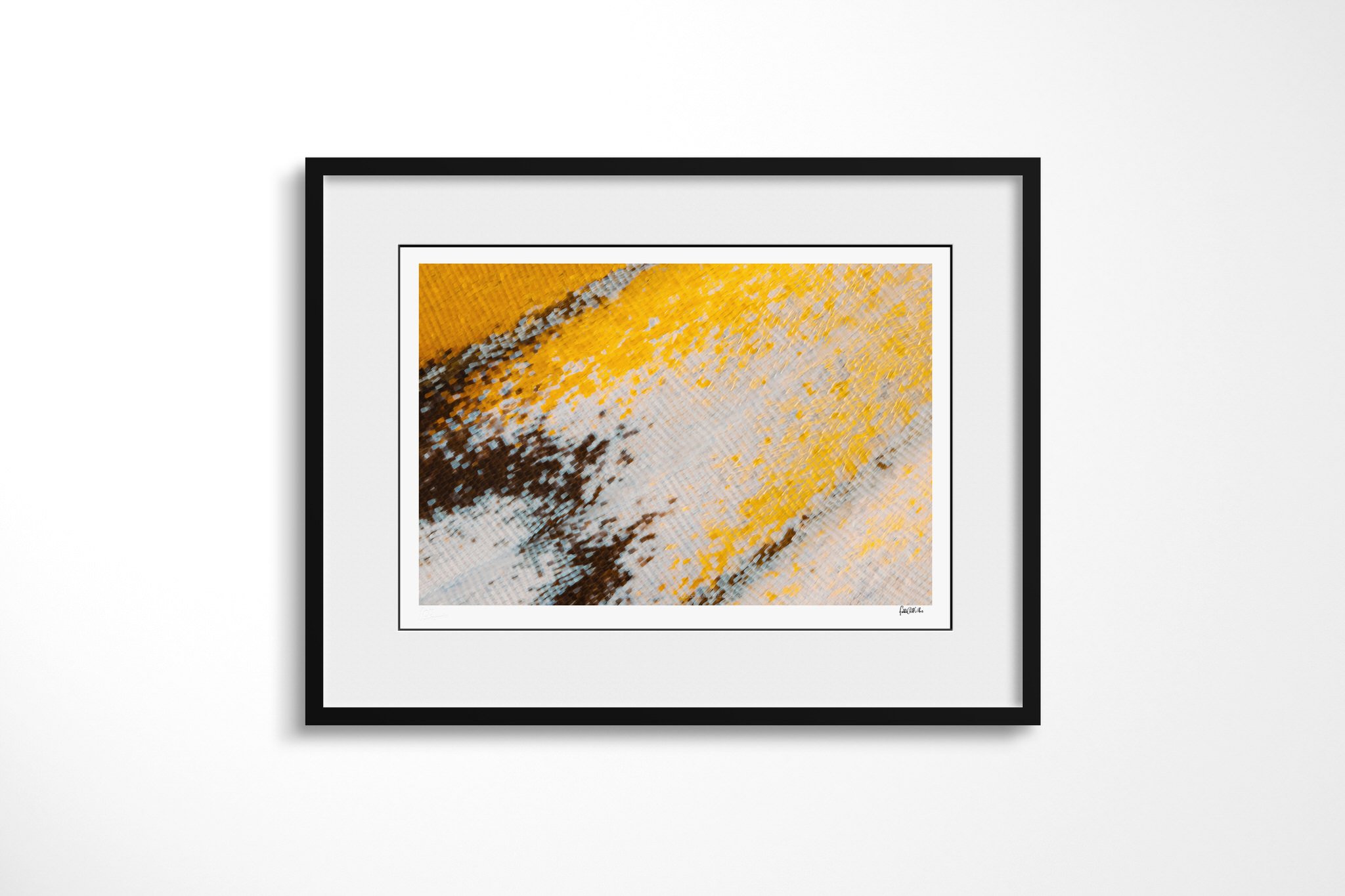 Black-framed presentation of Cymothoe beckeri - Cymothoe Tribe V with a white mount, showing golden and pale blue-grey wing scales divided by a dark mottled seam and slender vein.