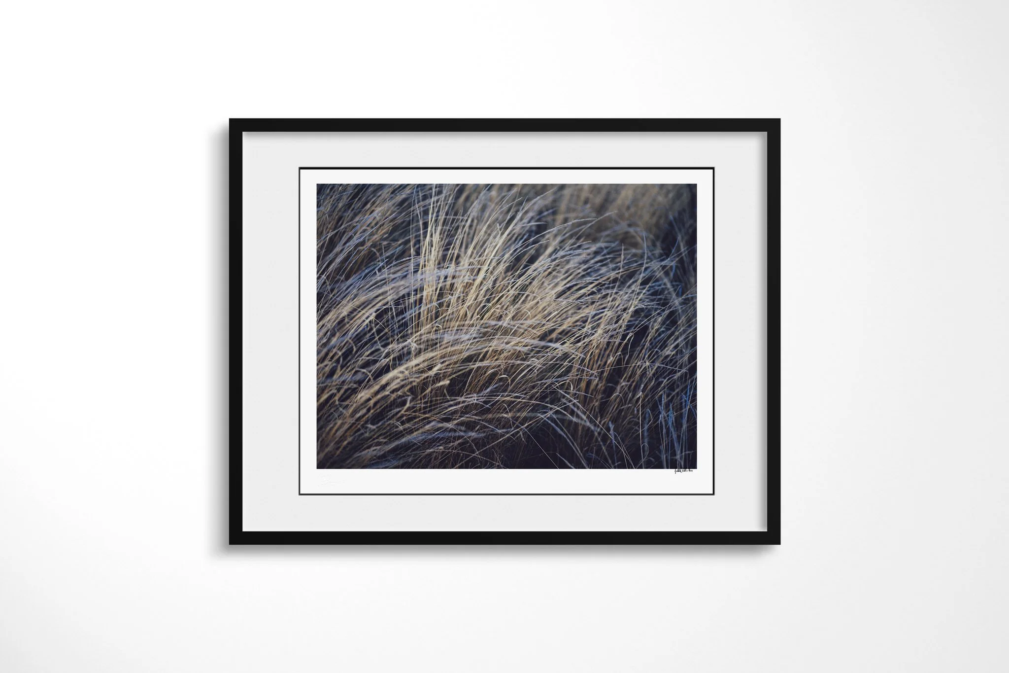 Blades presented in a black frame with a white mount, depicting dry grass stems blurred into sweeping pale lines across a deep blue-black background.