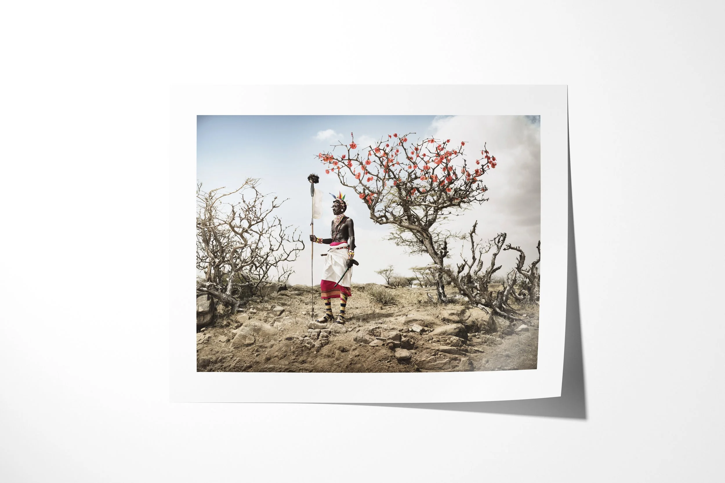 Fine art paper print of Lolegasi - “The Desert Rose”, showing a Samburu warrior holding a staff beside a flowering desert rose in a dry rocky landscape.