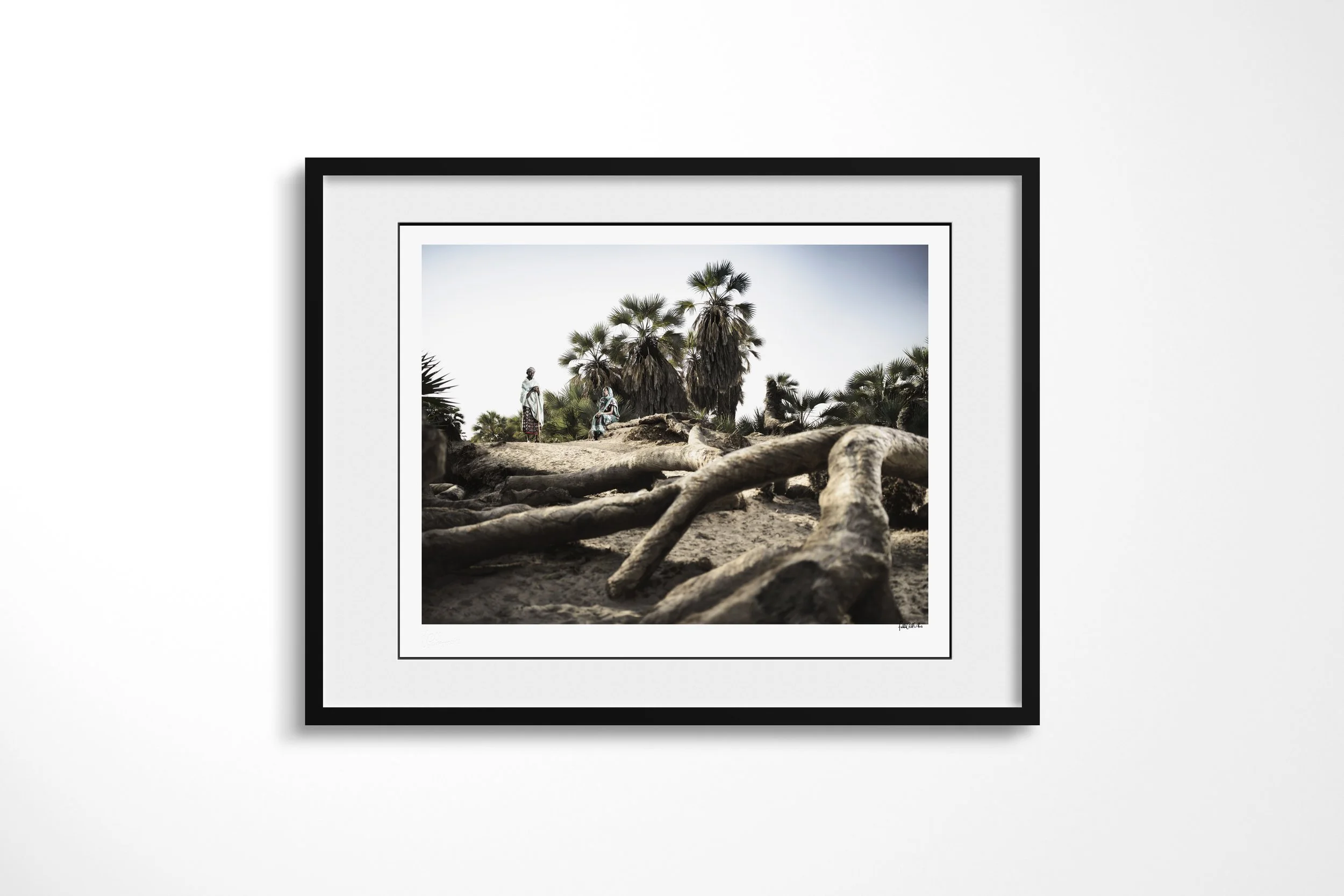 Framed presentation of Talaso & Halkano in a black frame and white mount, showing Talaso and Halkano among fallen palm trunks in a desert oasis.