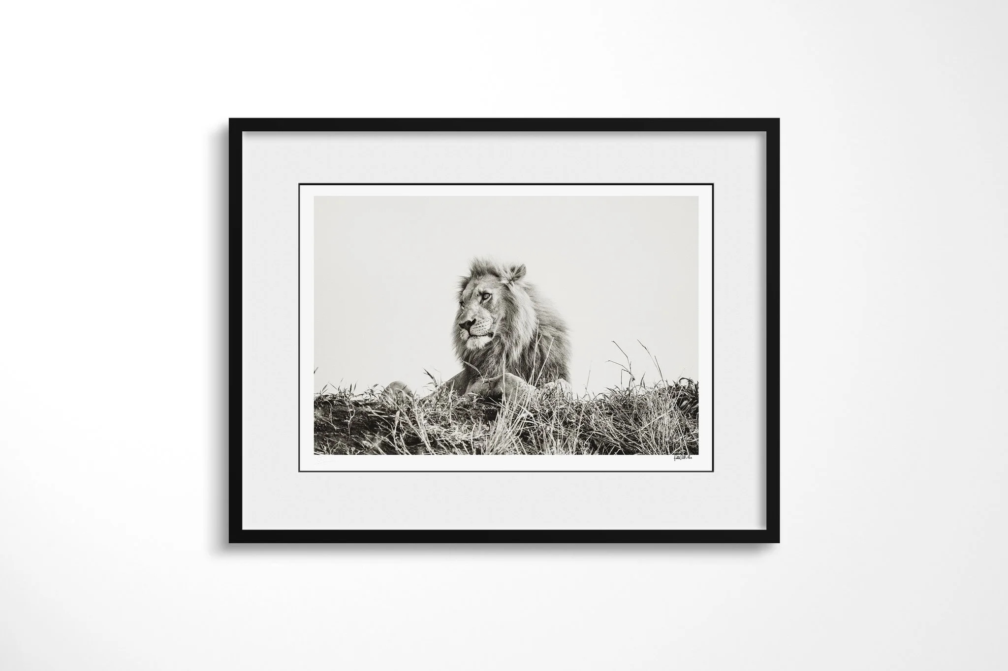 Framed presentation of Pride II with a white mount and black frame, showing maned male lion reclining on a grassy rise in profile beneath a broad pale sky.