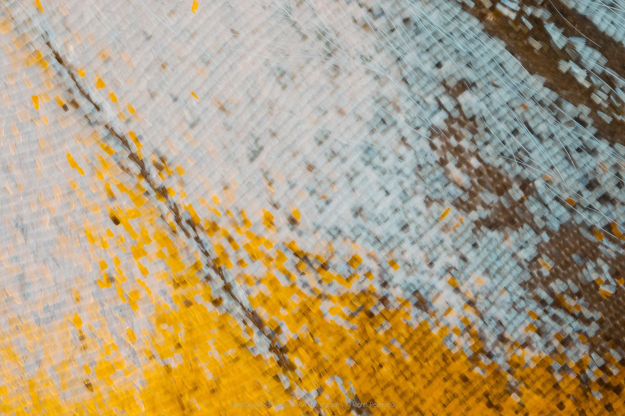 Extreme macro detail of pale blue-grey and cream wing scales crossed by dispersed yellow and brown flecks.