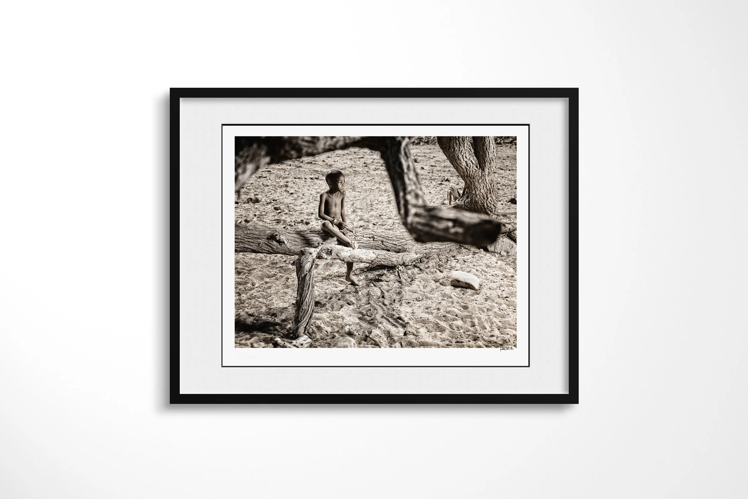Framed presentation of Katumunu in a black frame and white mount, showing Katumunu seated on a low tree branch above sandy ground in sparse shade.