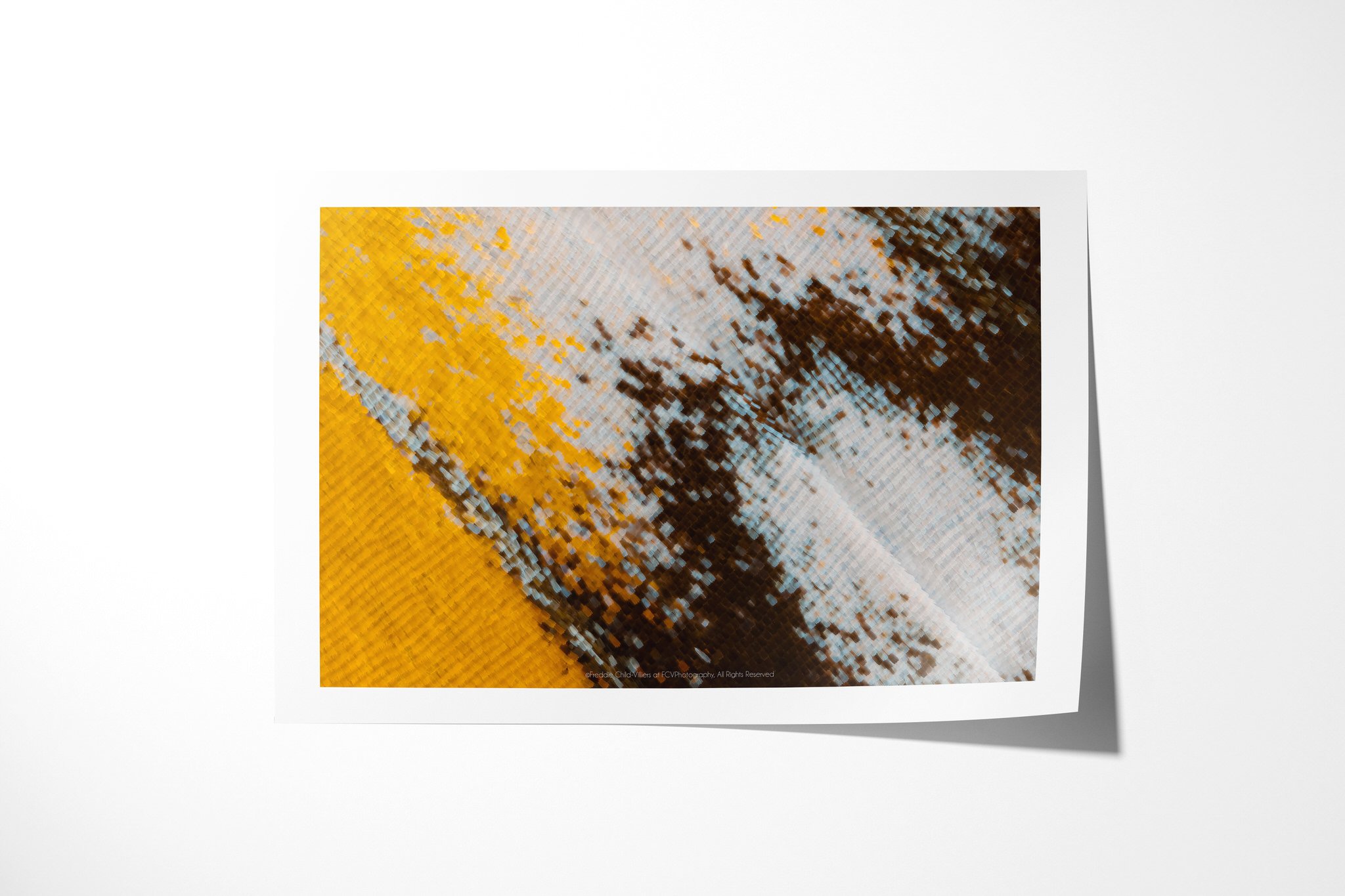Fine art paper print of Cymothoe beckeri - Cymothoe Tribe III, showing yellow, blue-white and dark brown wing scales meeting along a pale diagonal vein.