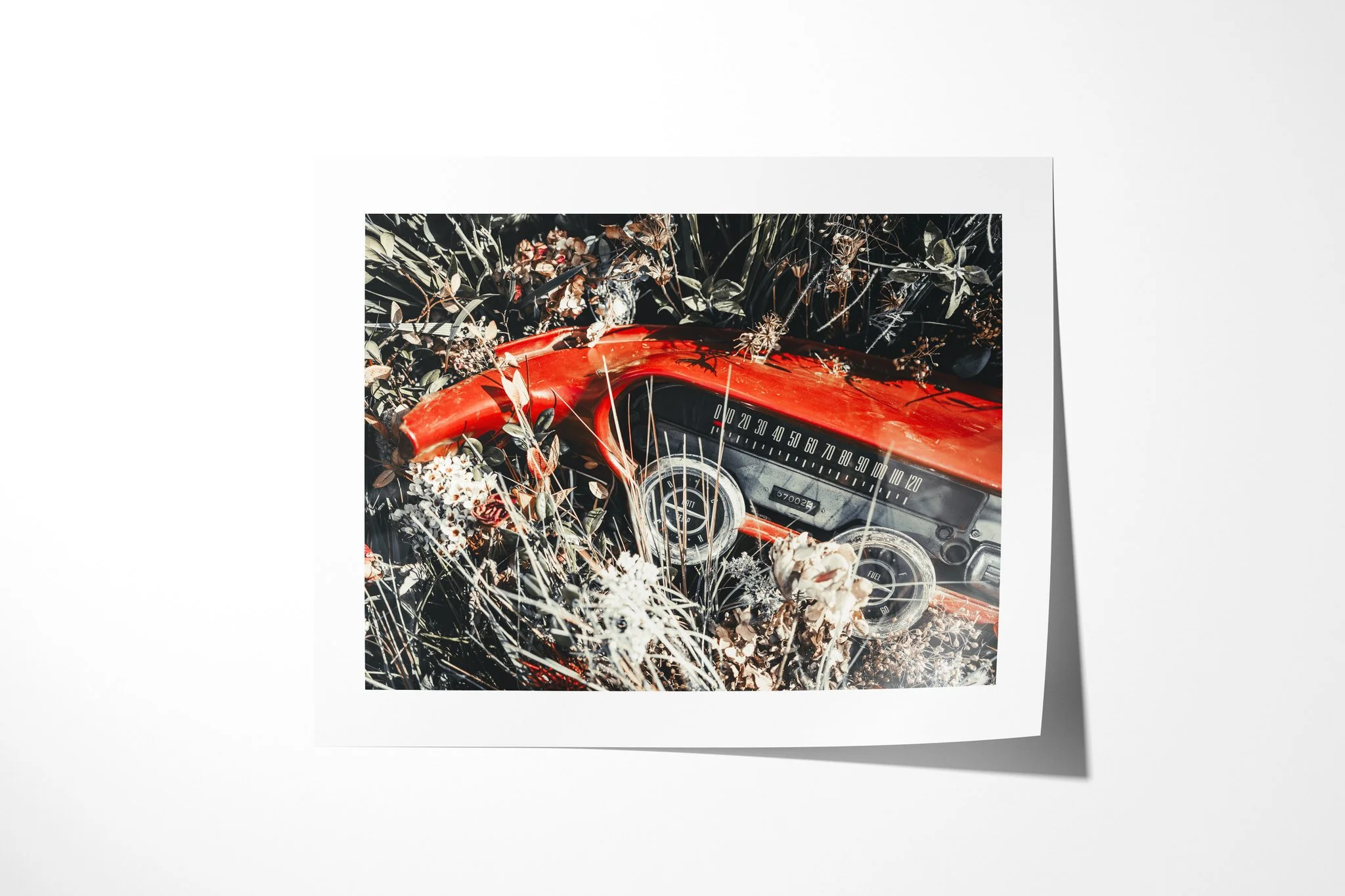 Fine art paper print of Dash, showing a red vintage vehicle dashboard and gauges partly covered by dry stems, leaves and faded flowers.