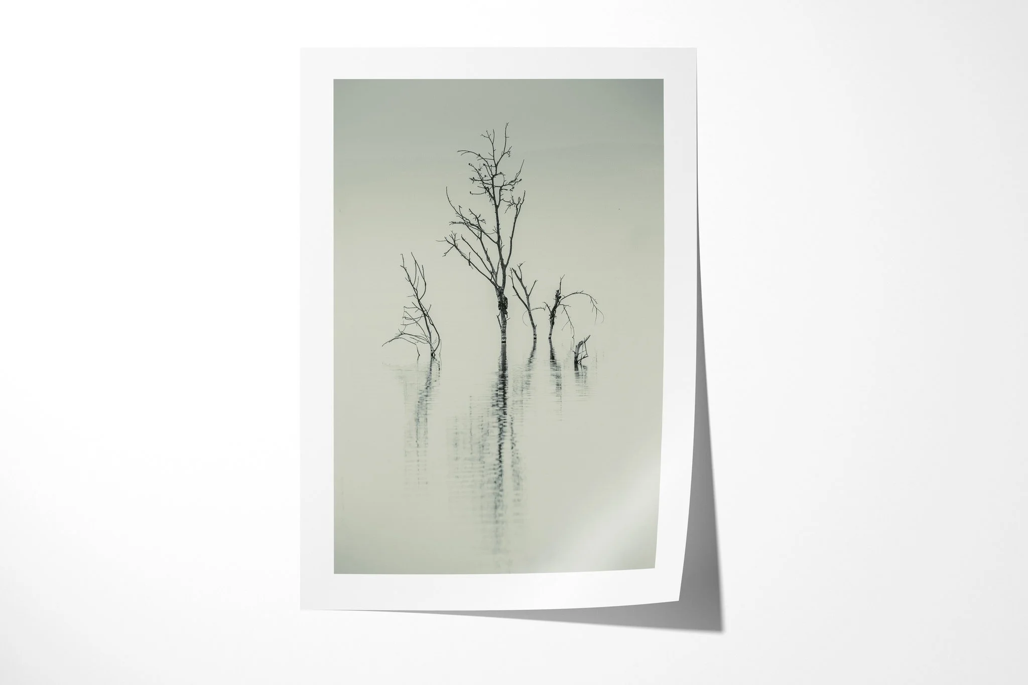 Fine art paper presentation of The Skeleton, depicting leafless trees standing in pale still water, their soft reflections fading into grey-green haze.