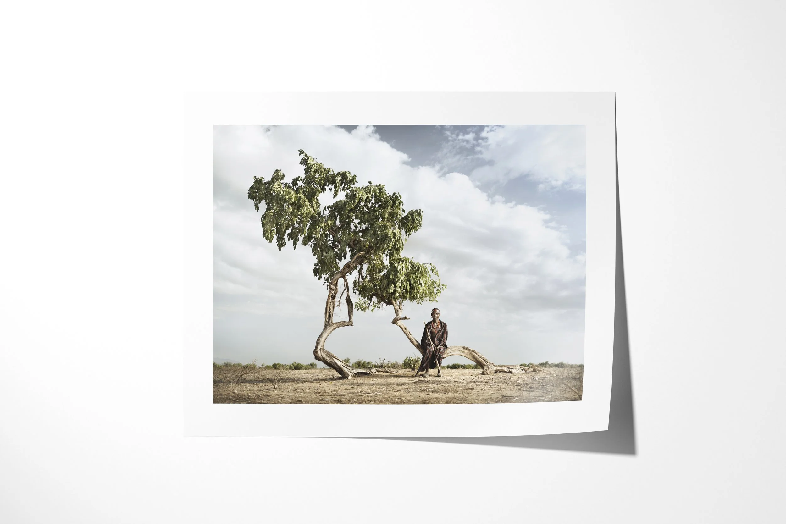 Fine art paper print of Gamedu, showing an Arbore man resting beneath the curved trunk of a wind-shaped tree on an open plain.