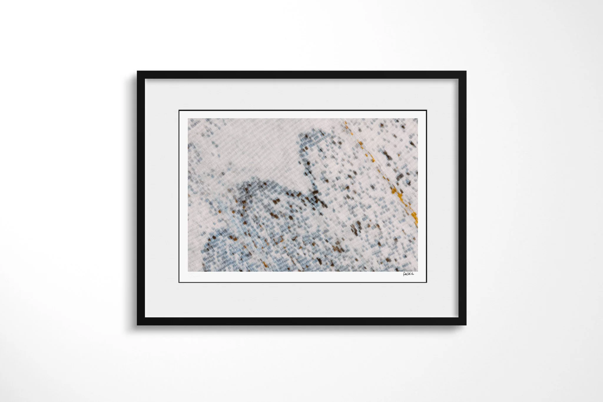 Black-framed presentation of Salamis anacardii duprei - Junoniini Tribe III with a white mount, showing pale silver-blue wing scales with incomplete dark arcs and a fine diagonal ochre vein.
