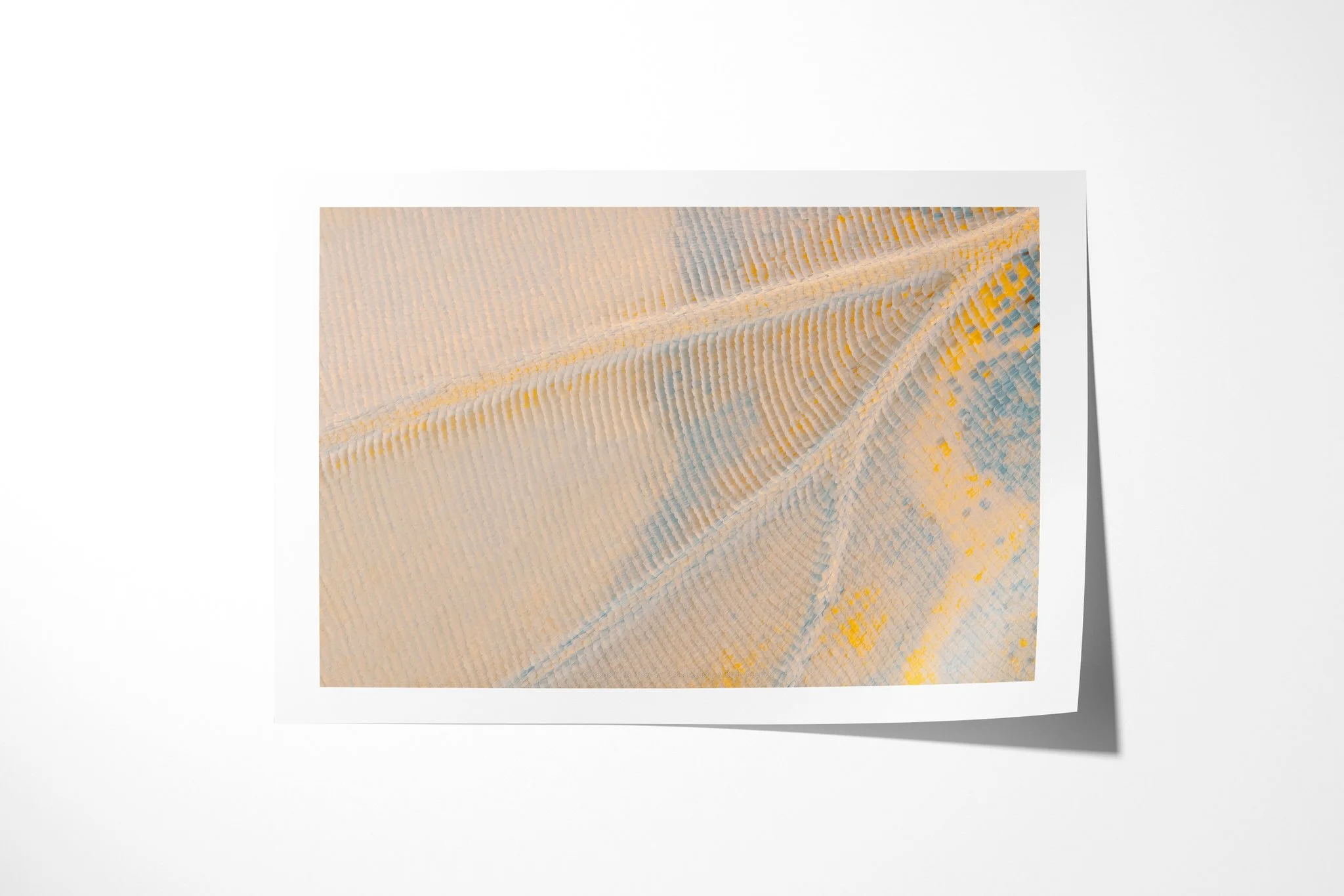 Fine art paper print of Cymothoe beckeri (Male) - Cymothoe Tribe II, showing pale cream and blue-grey wing scales following a branching white vein with scattered amber flecks.