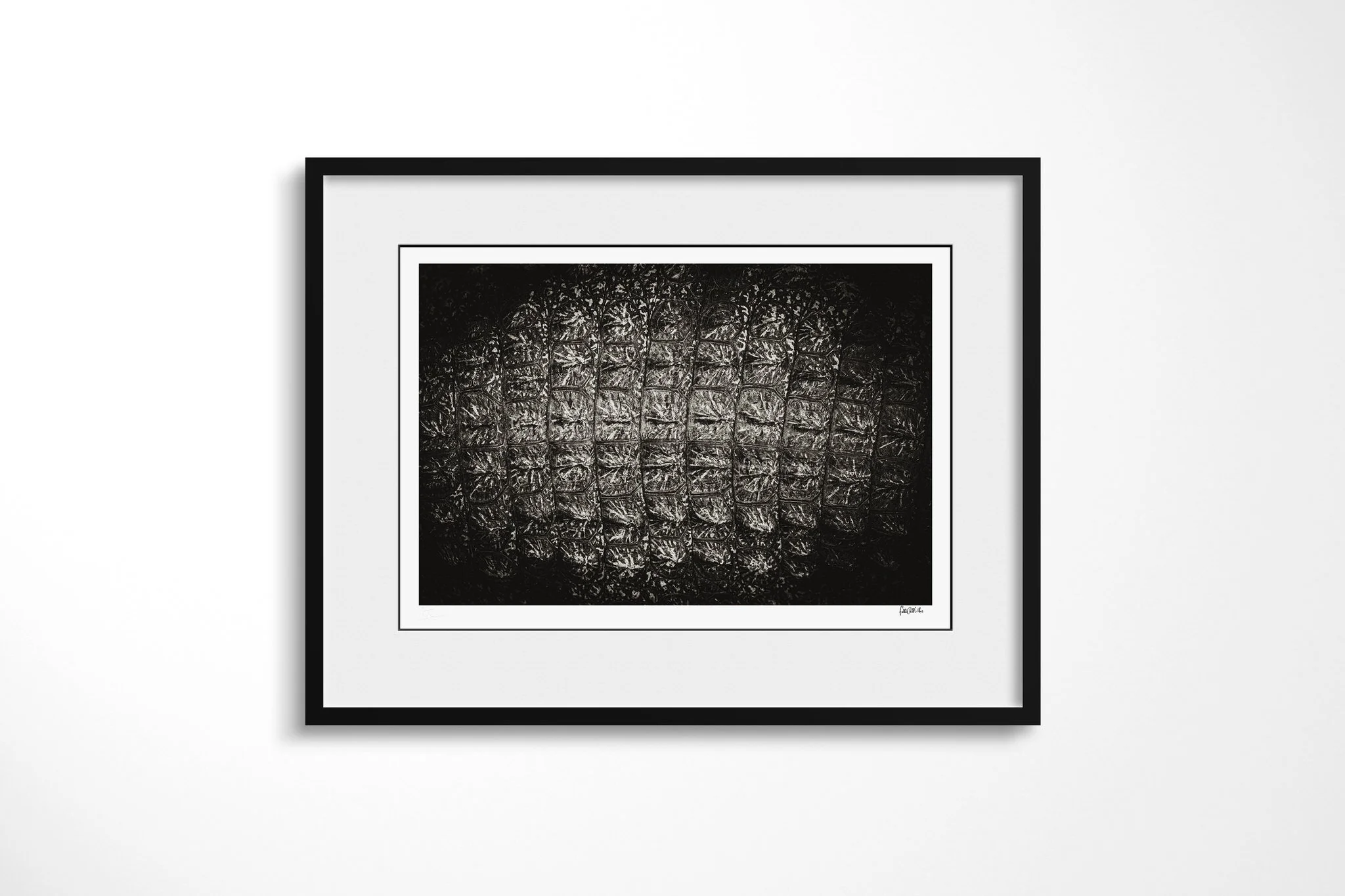 Framed presentation of Thick Skinned with a white mount and black frame, showing extreme close view of overlapping crocodile scutes forming an irregular ridged pattern.